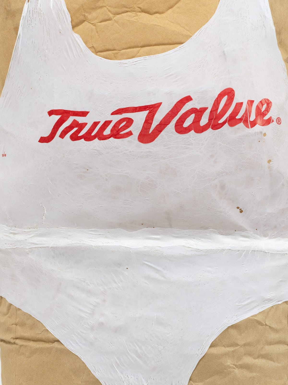 TIM HAWKINSON, Double Bag Torso, 2019