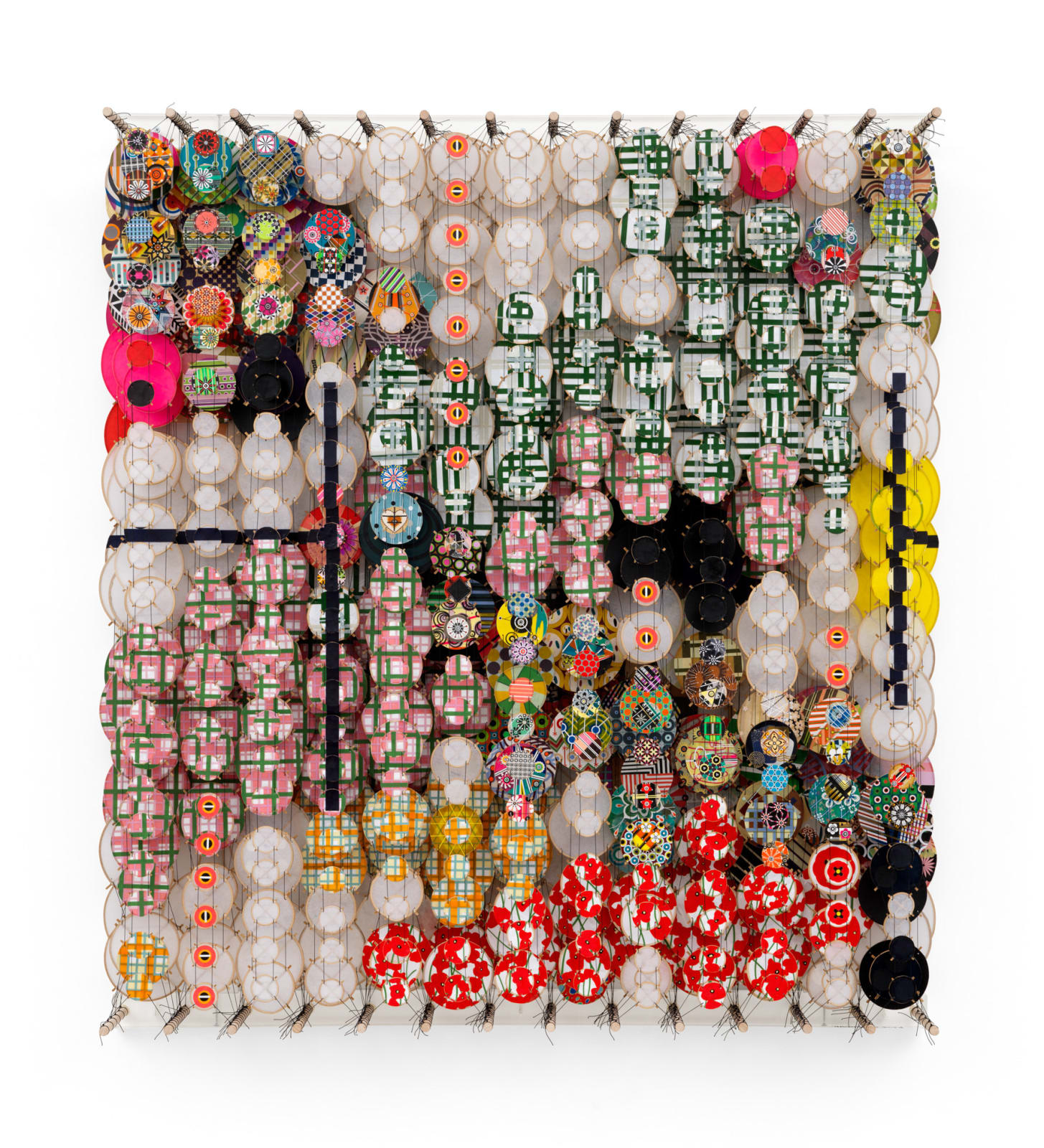 JACOB HASHIMOTO, These much-despised beings are not so universally stupid, 2024