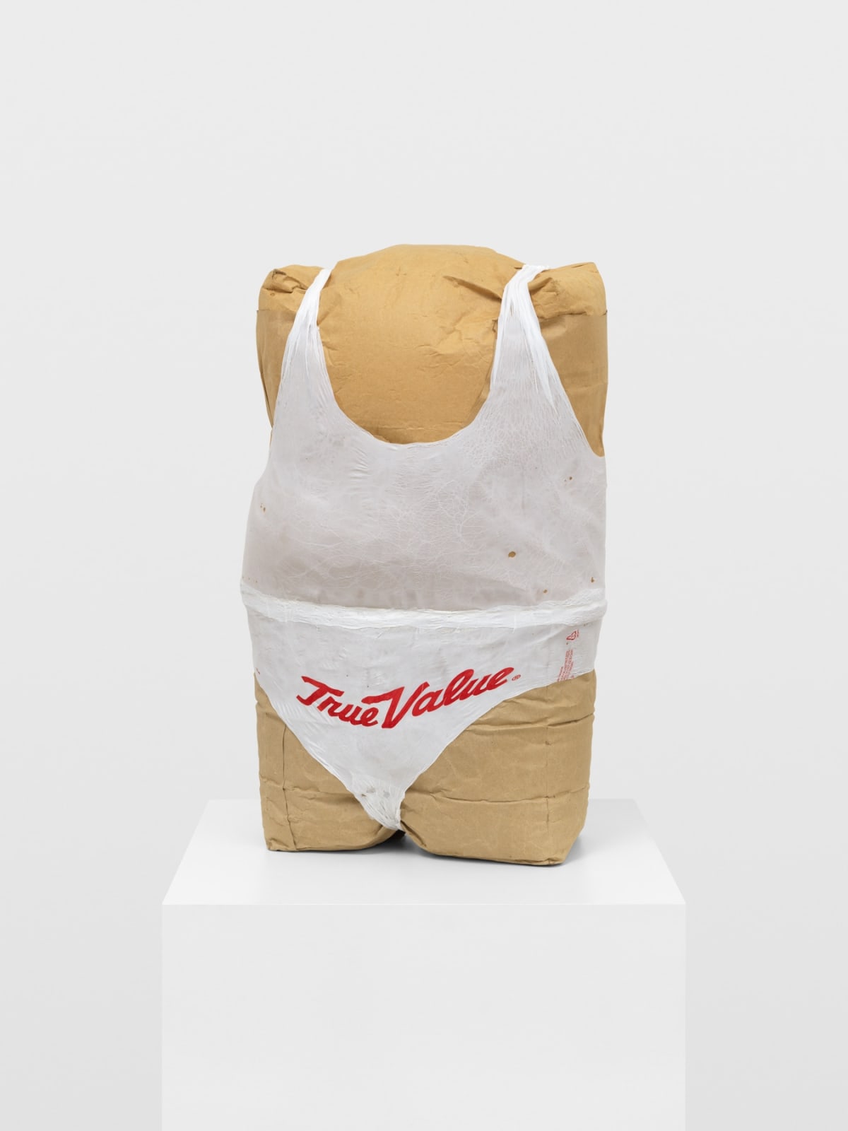 TIM HAWKINSON, Double Bag Torso, 2019
