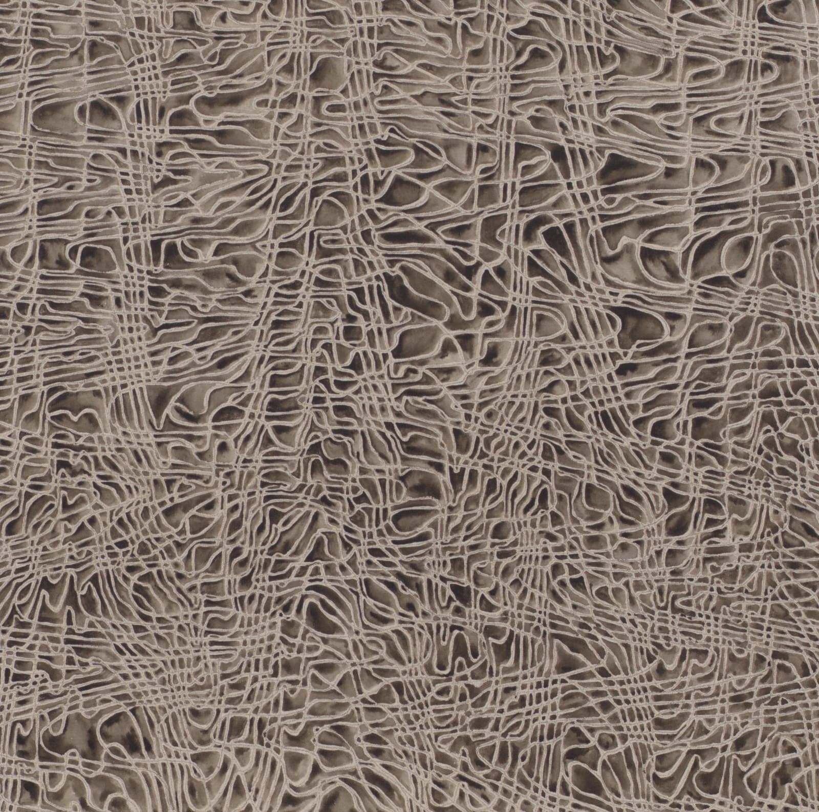 JAMES SIENA, Elutea, 2024