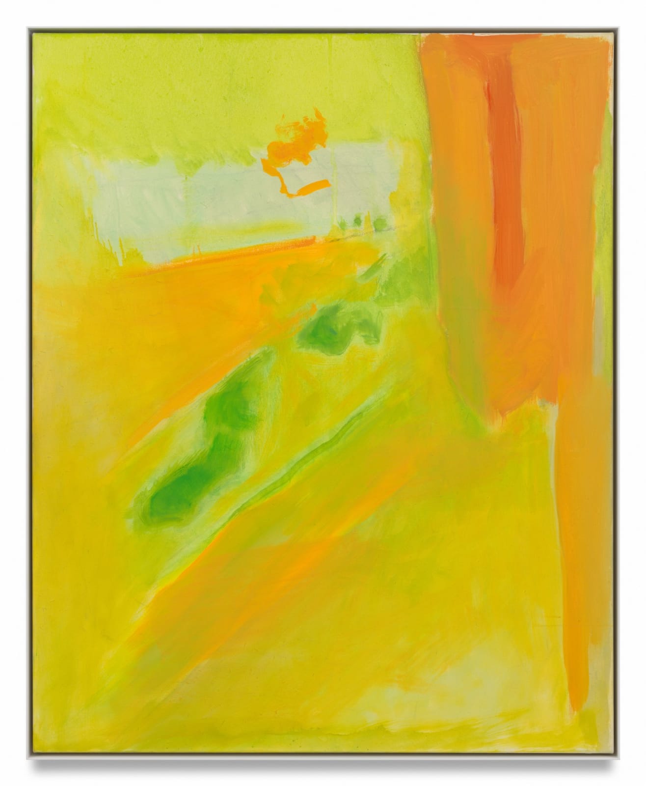 ESTEBAN VICENTE, Experience, 1998