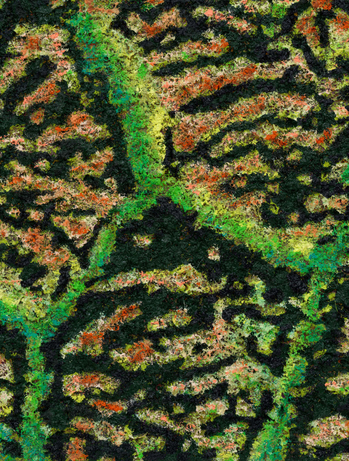 DOUGLAS MELINI, The Shapes Have Lost #2, 2025