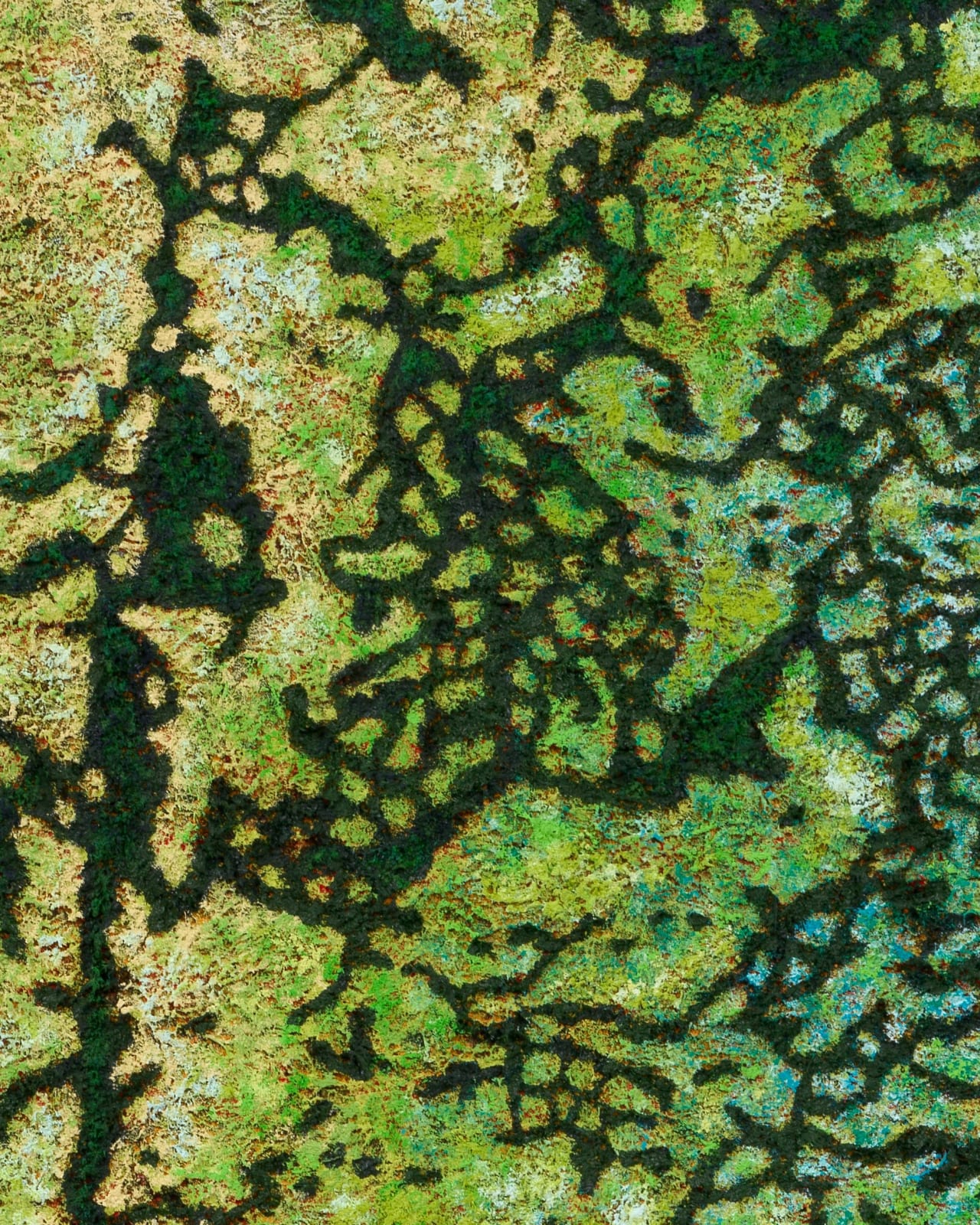 DOUGLAS MELINI, As If In Space, 2024