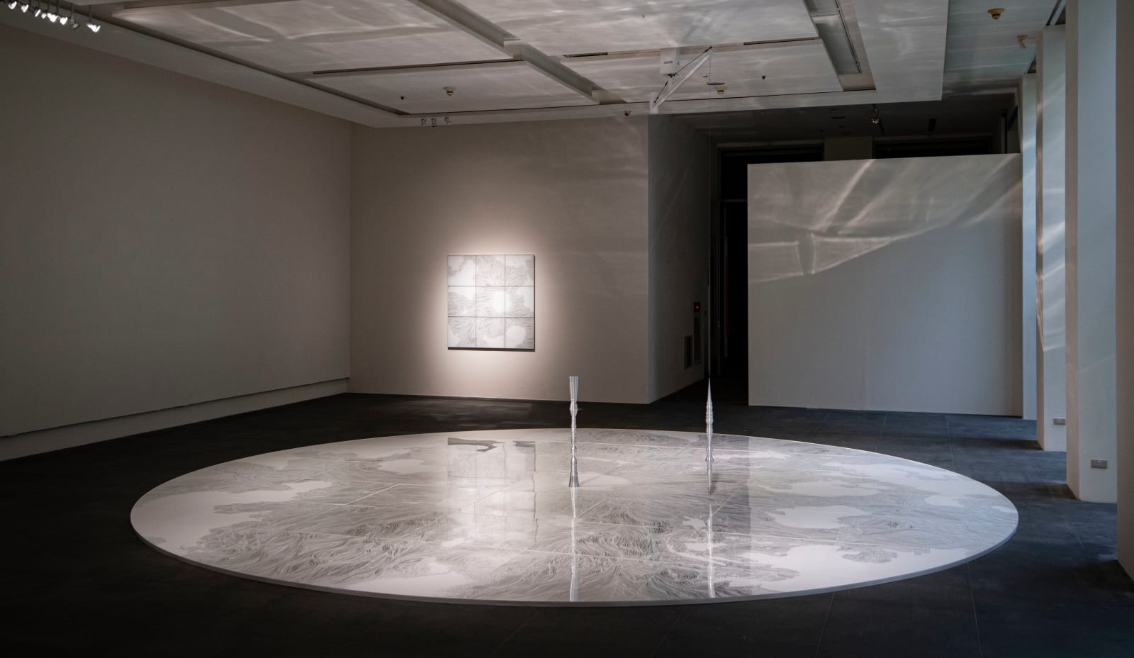 大卷伸嗣, 《漂浮》 Flotage , 2004-2006