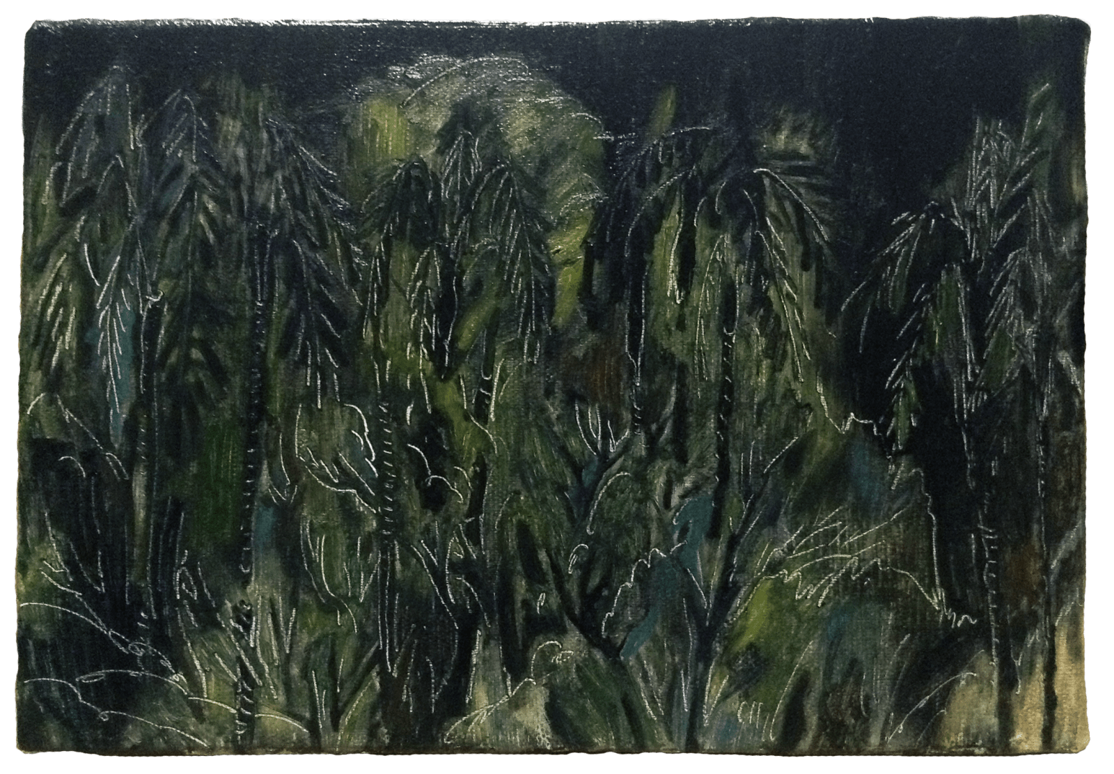 劉致宏, 《樹的幻影1 》Phantom of the Wood 1, 2017