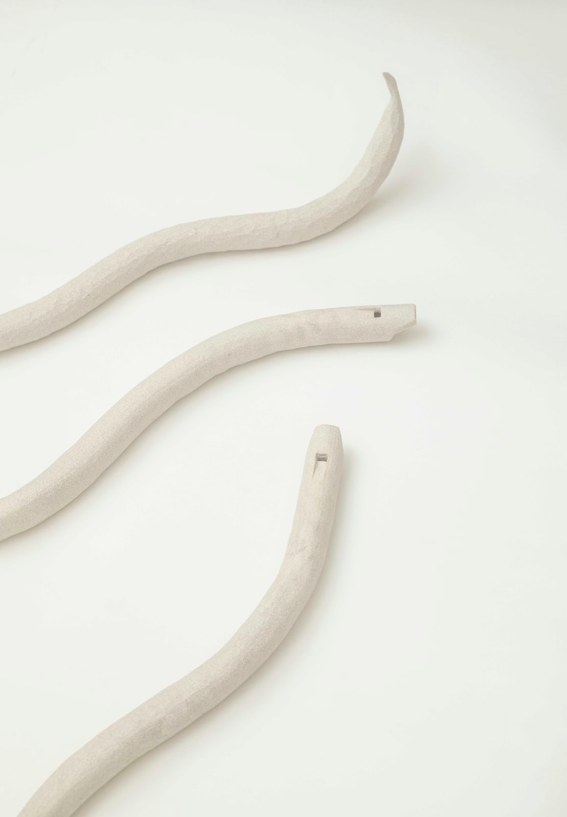 劉致宏, 《魔笛：蛇》 Flute: Serpent, 2021