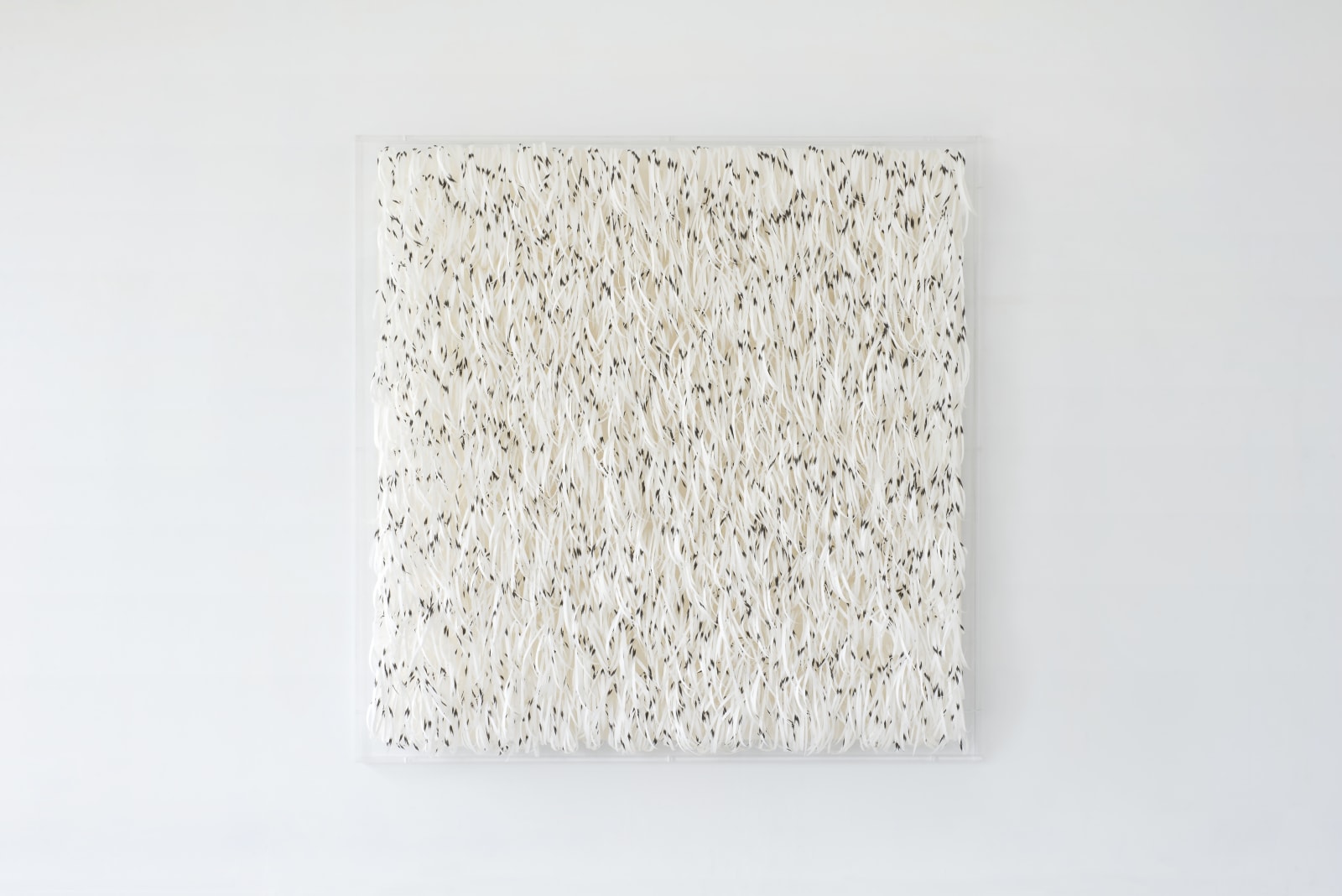 劉文瑄 , 《白噪音》 White Noise, 2018