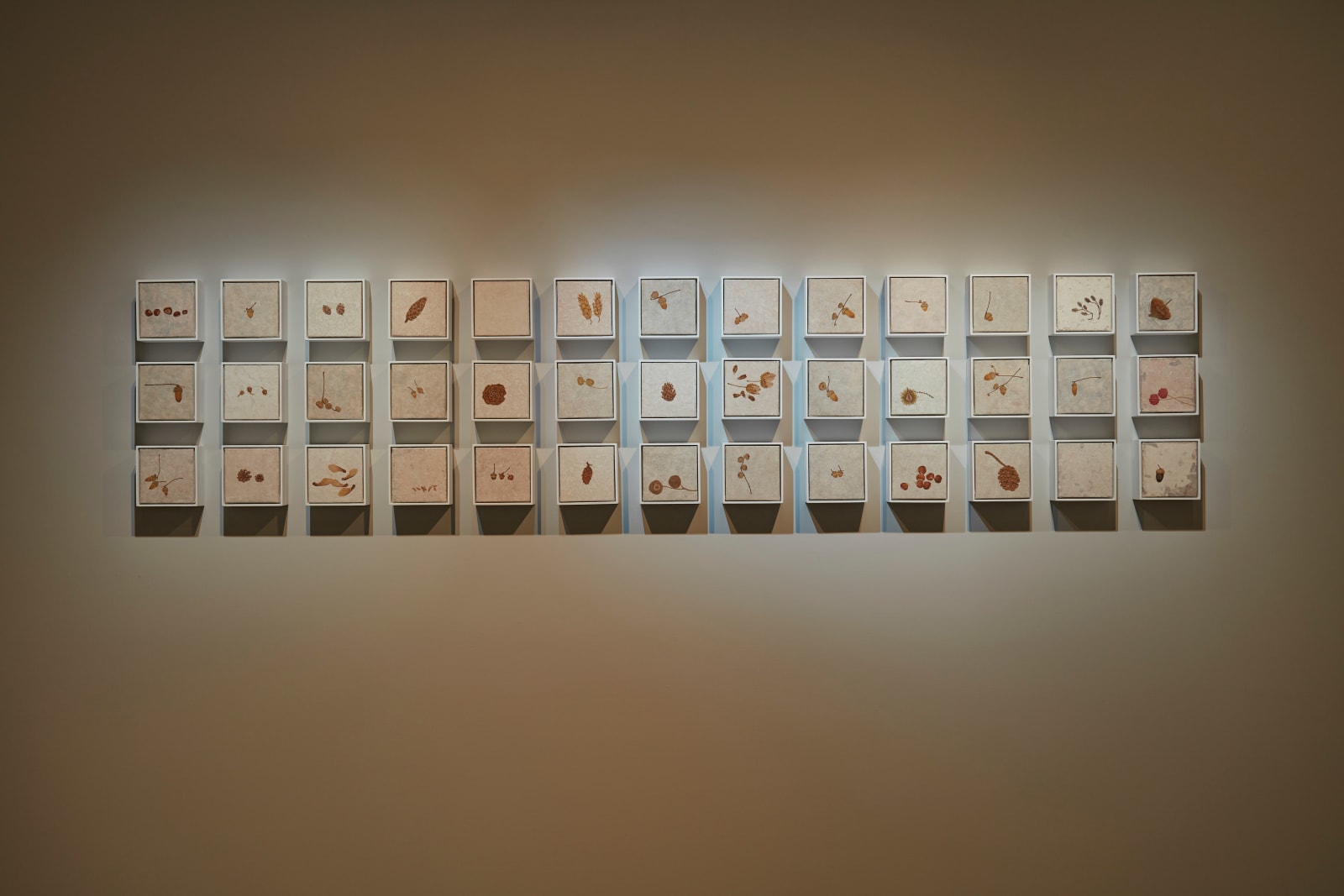 鍾舜文, 《秋日的採集1》 Autumn Collections –1, 2018