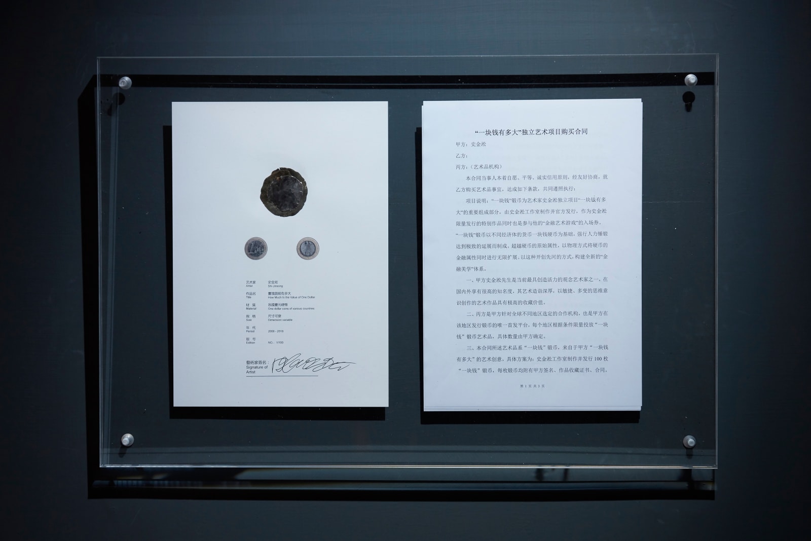 史金淞, 《一塊錢有多大》 How Much Is the Value of One Dollar , 2008-2018