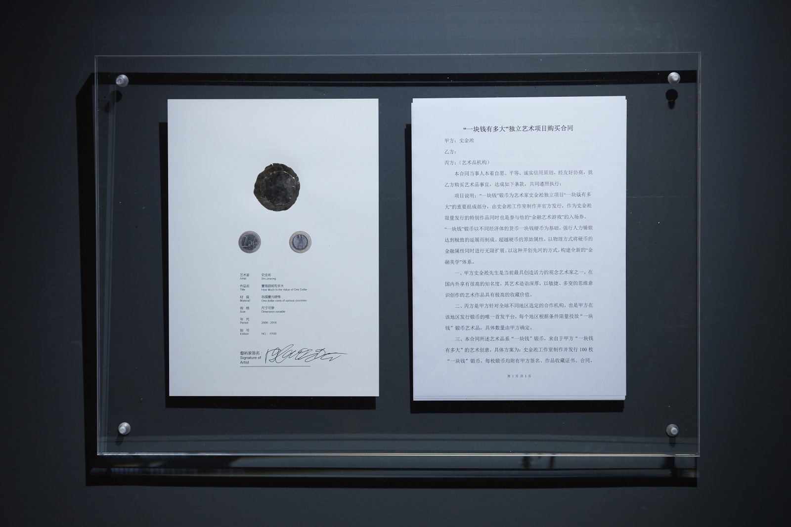 史金淞, 《一塊錢有多大》 How Much Is the Value of One Dollar , 2008-2018