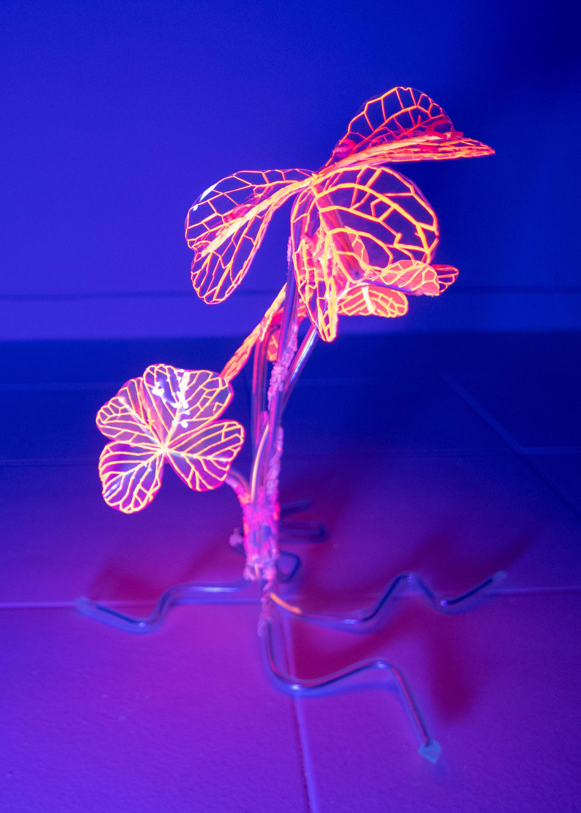 安德利亞・梅達爾, 《末日後的新娘1-17》 Post-apocalyptic bride 1-17, 2023