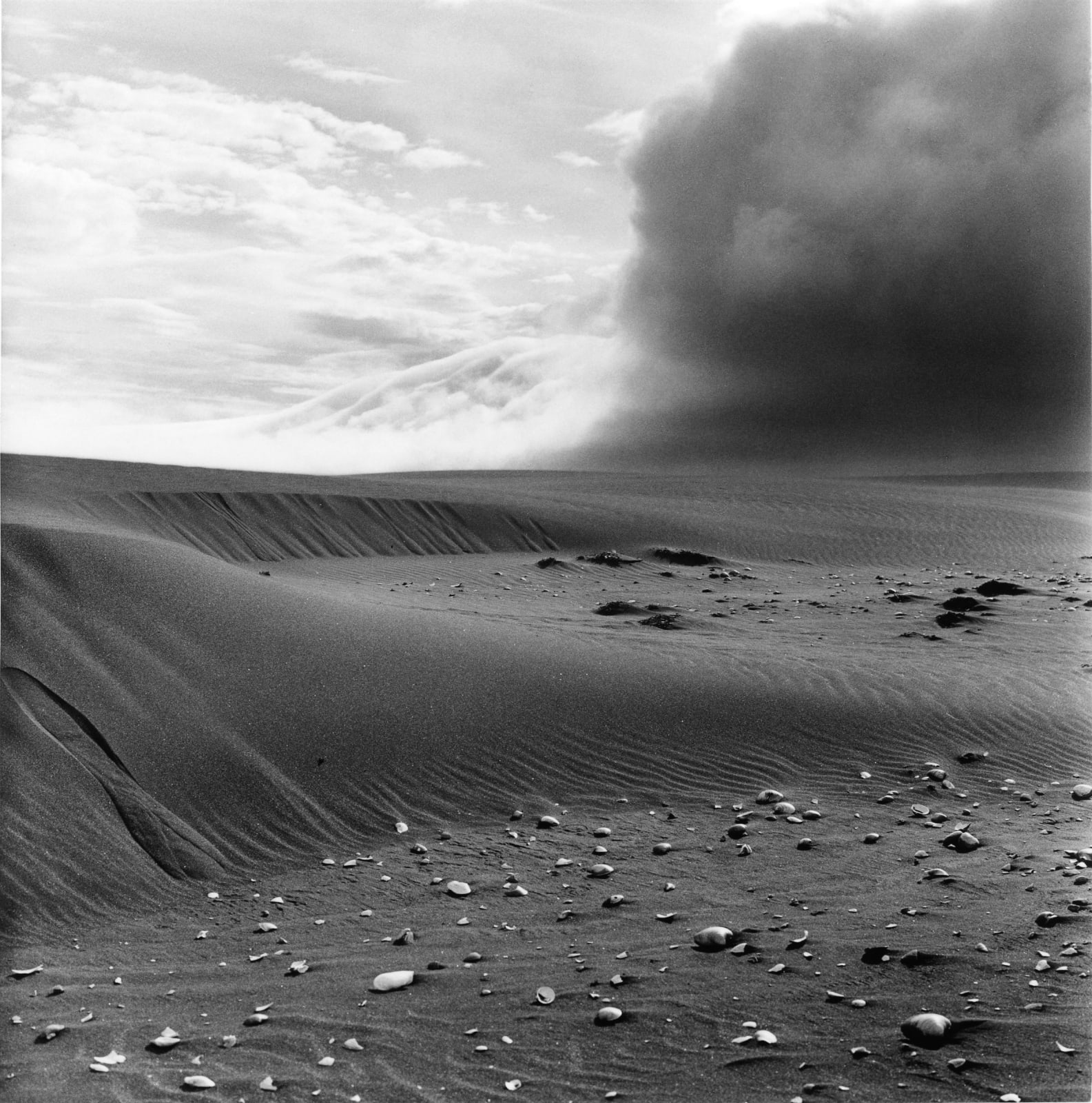 克里斯托弗．戴樂, Sandkrókur,Þistilfjörður, 2013