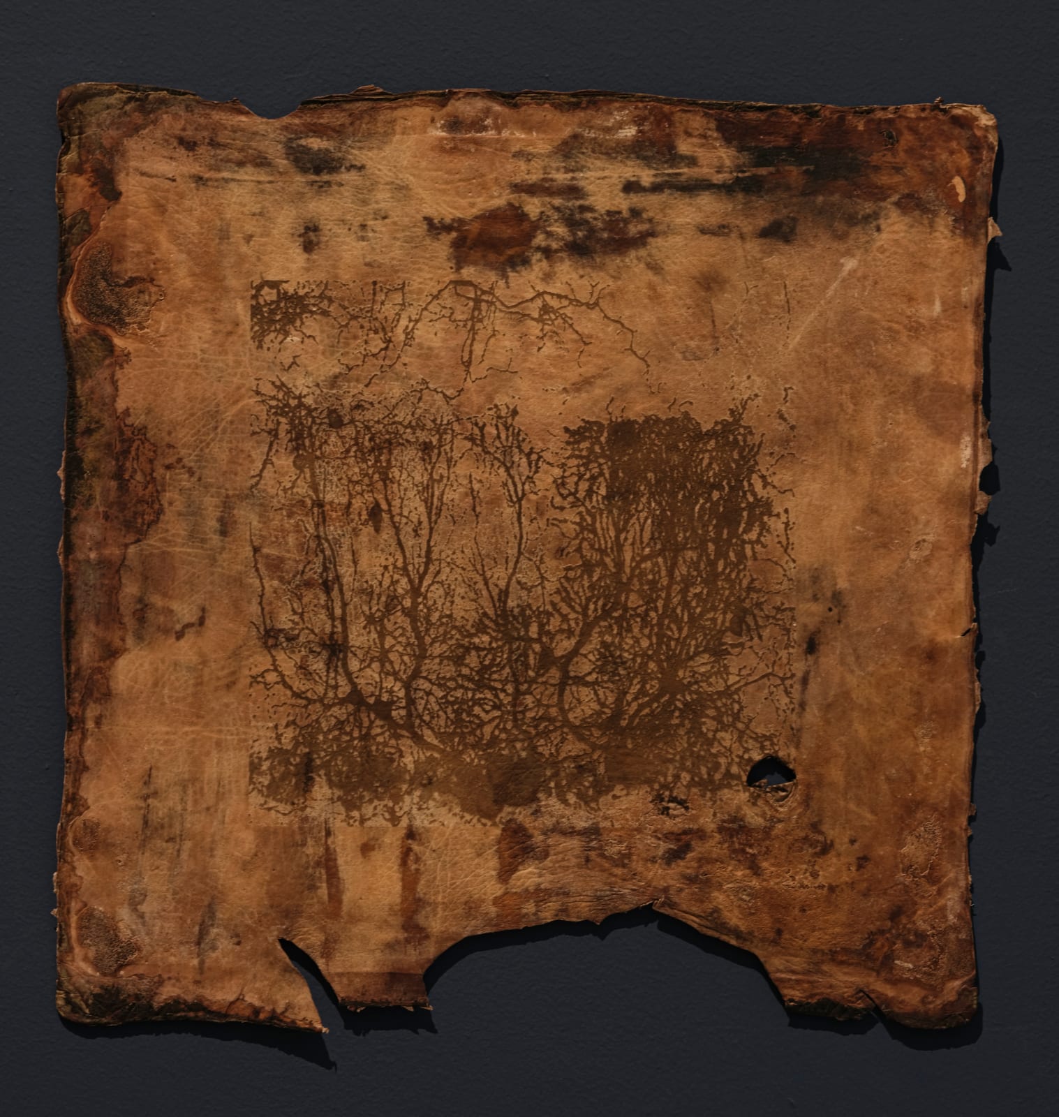 薩伊夫．加里波第, 《印刻 #15》Engrave #15, 2024