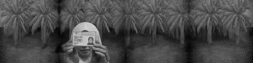 于一蘭, 《地平線：在布特拉札也的棕櫚樹》 Horizon: In the Palm of Putrajaya, 2003