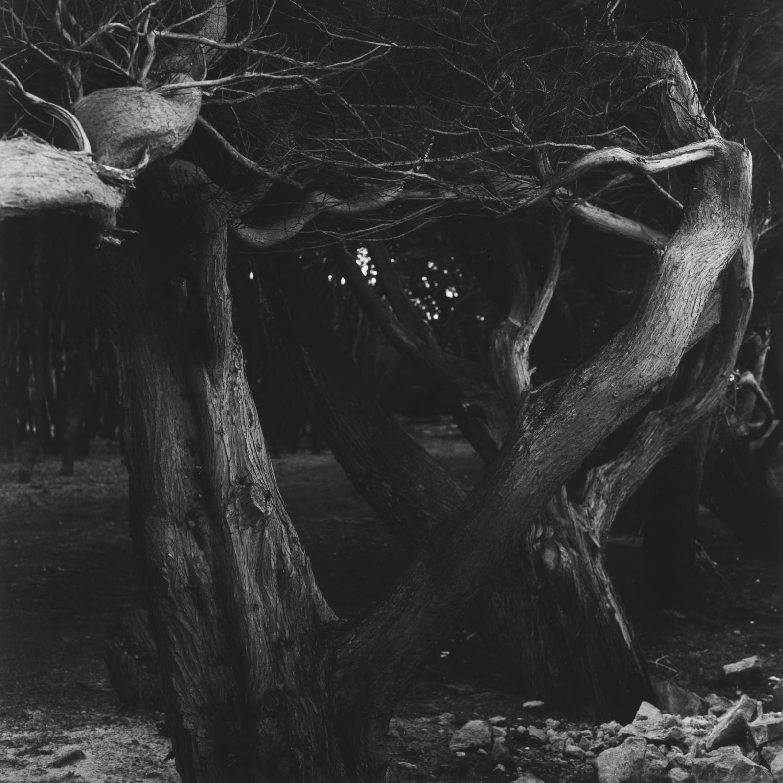 克里斯托弗．戴樂, 《勒克魯瓦西克，布列塔尼，法國》 Le Croicic, Brittany, France, 2021