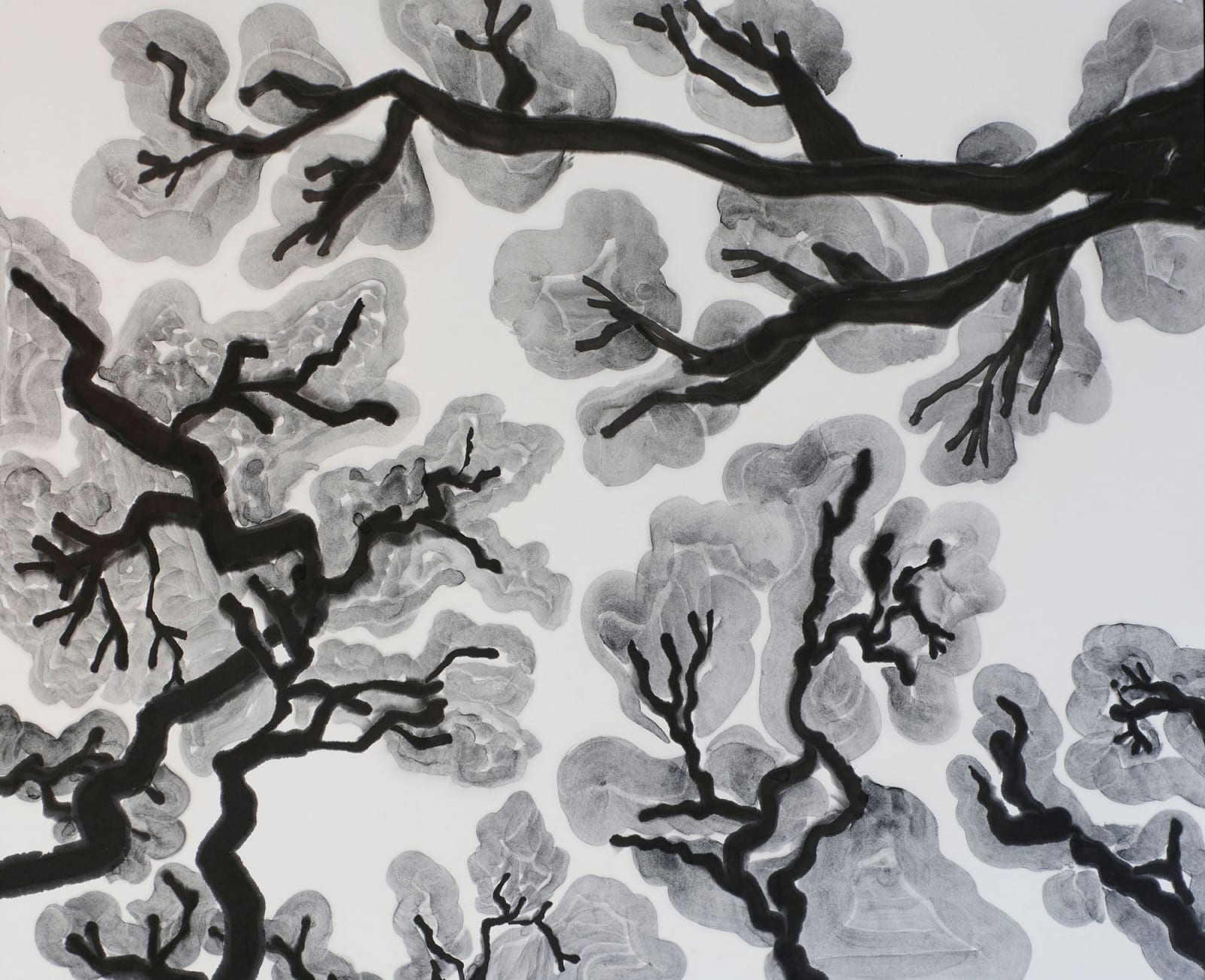楊寓寧, 《樹冠避羞》 Crown Shyness, 2022