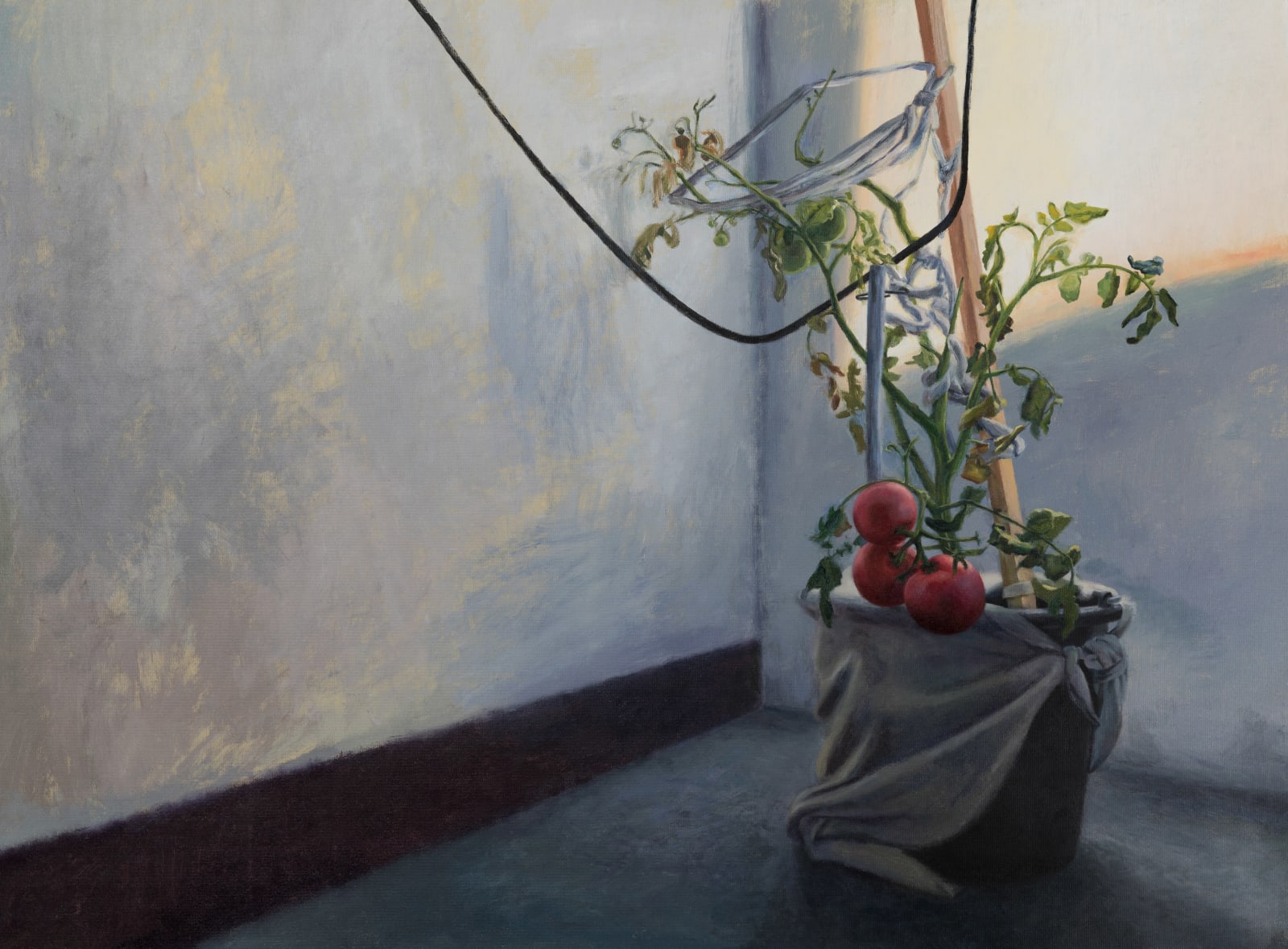 安娜・瑪瑞亞・米庫, 《秘密歷史關於......「自然蓬勃發展」》secret history of ... “nature is thriving”, 2024