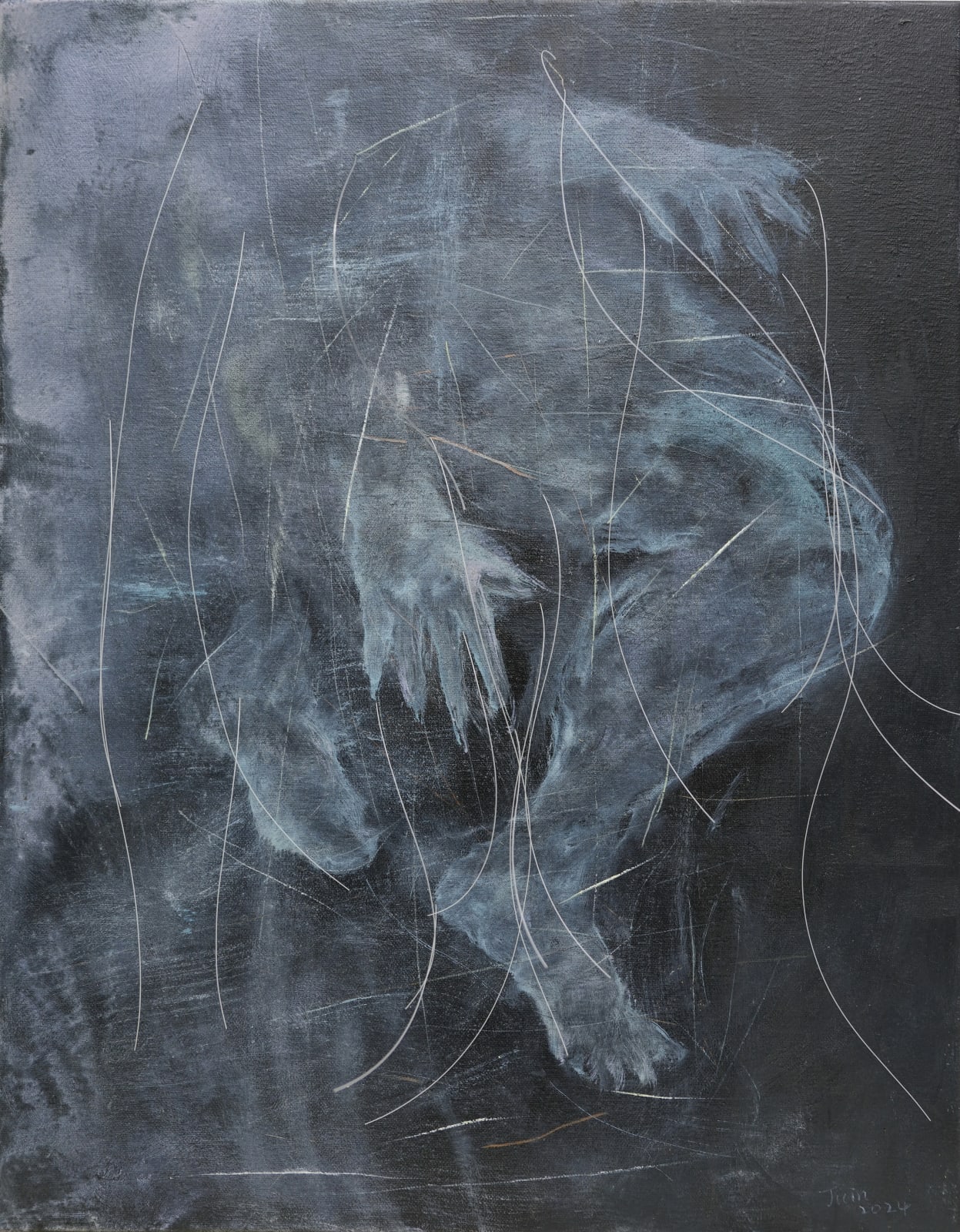 謝鴻均, 《行走中的潛則》 Hidden rules in walking, 2024