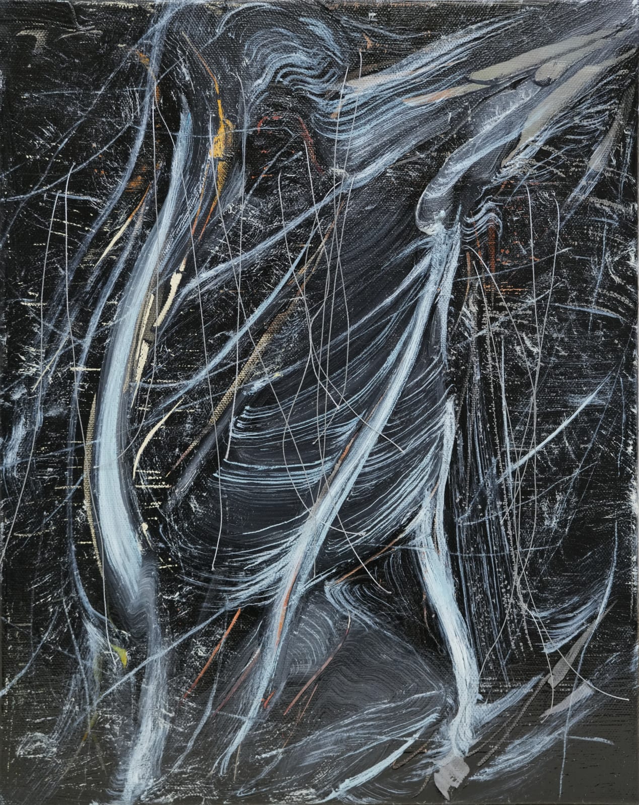 謝鴻均, 《骨肉 II》 Blood Relationship II, 2025