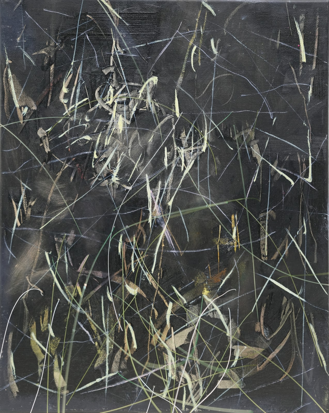 謝鴻均, 《線性》 Linear, 2025