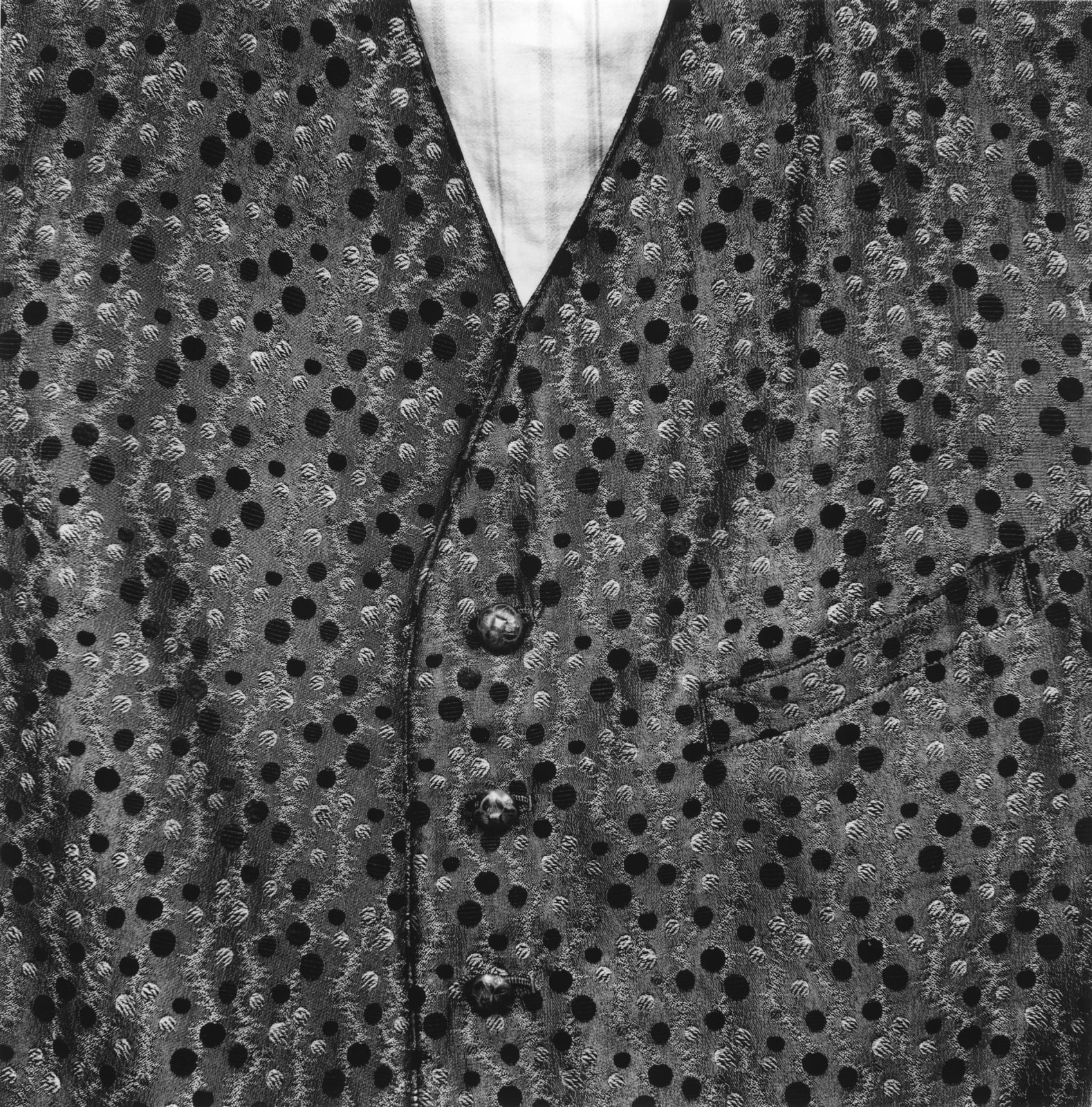 克里斯托弗．戴樂, 《作家Jón Traust的背心，Kópasker》 The Writer Jón Trausti's Waistcoat, Kópasker, 2015