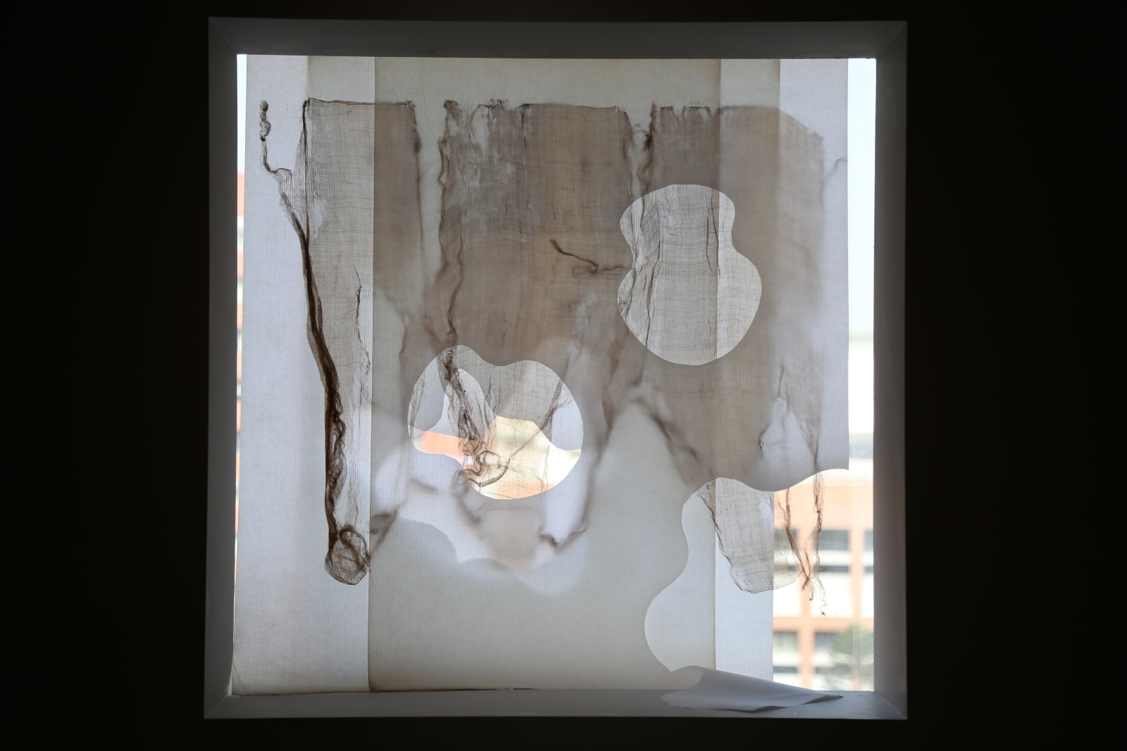 Sandra PALOMAR, 《彌撒樂曲：織品研究》 Benedictus: Study in Drapery, 2018