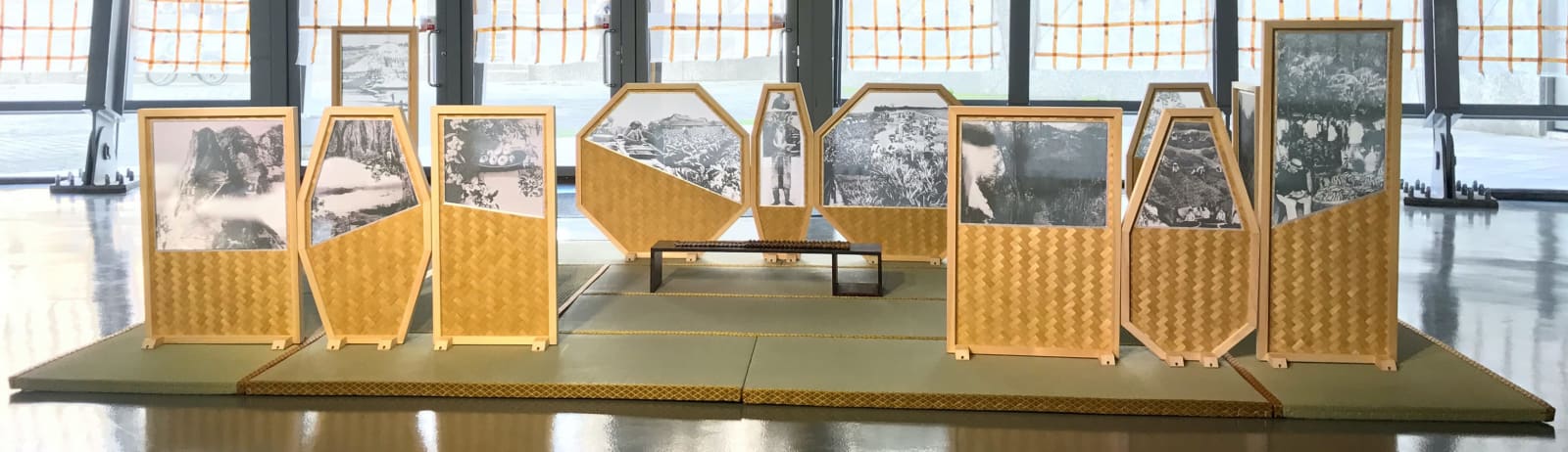 羅懿君, 《熱帶蒐藏 》 Tropical Collection , 2016