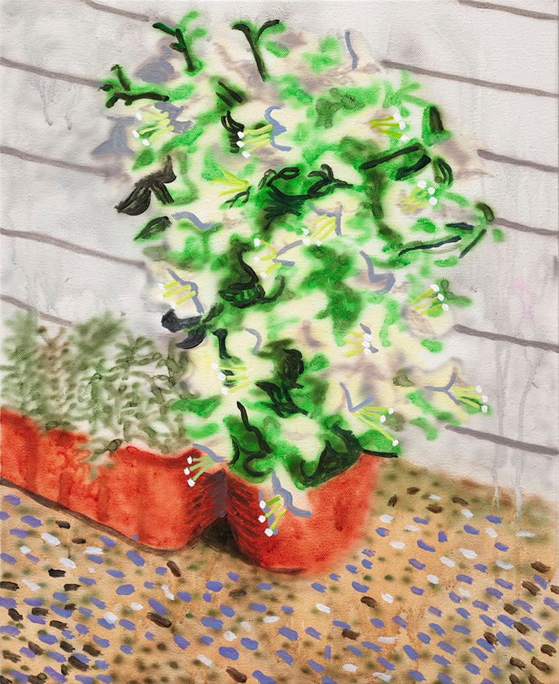 楊立, 《九重葛初放》The First Bloom of Paperflower, 2022