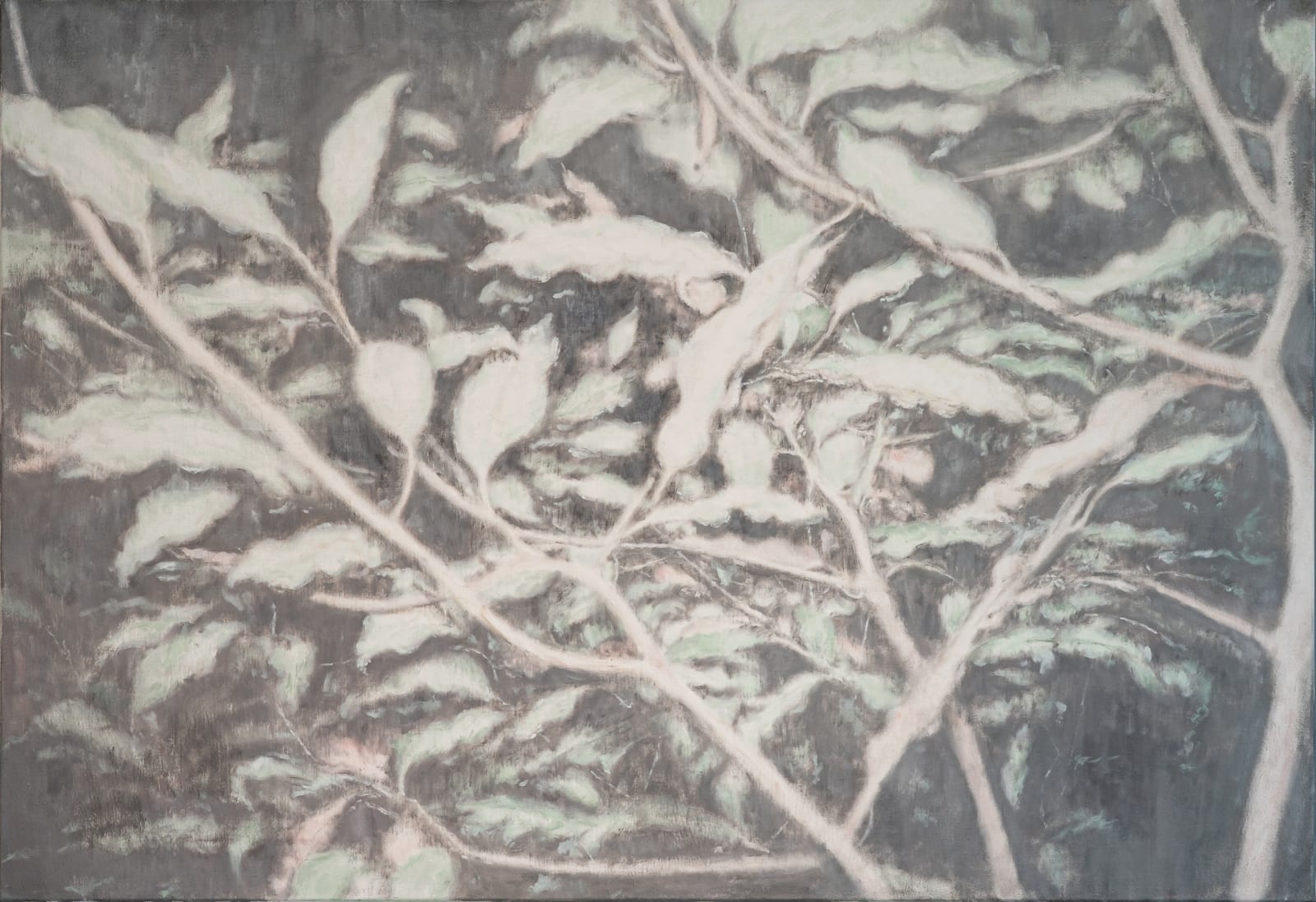 嚴友亨, 《輕盈》 Lightness, 2025