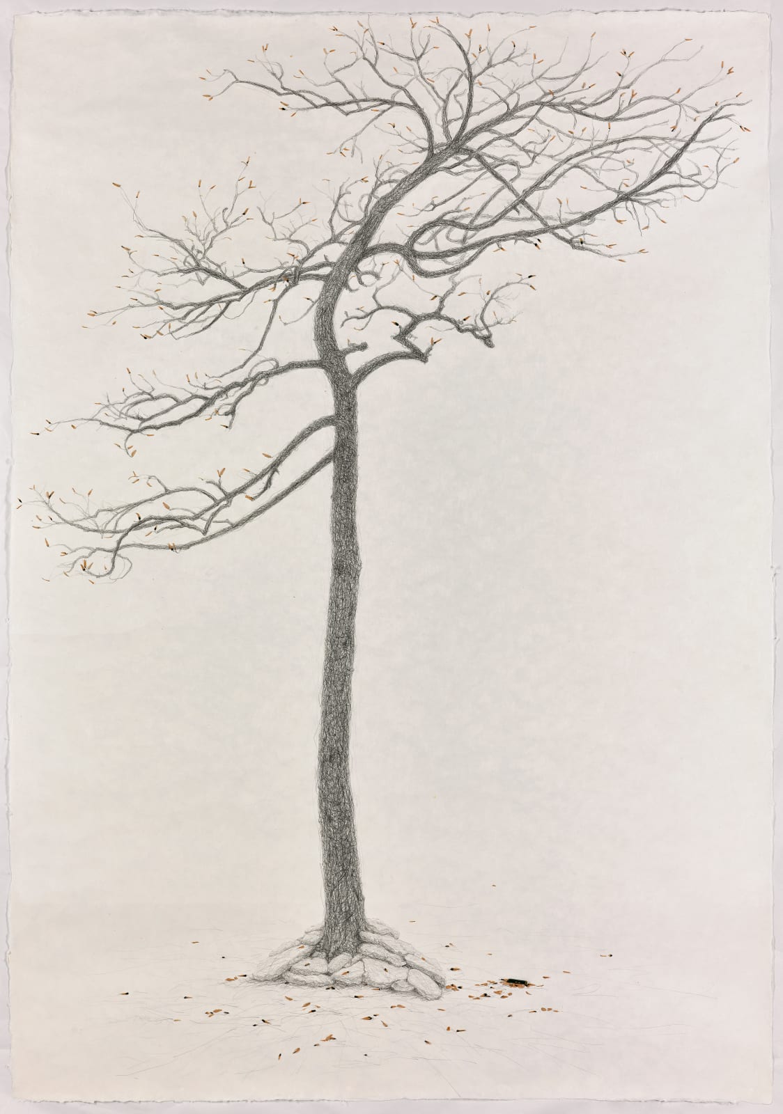 石晉華, 《犧牲樹 後傳》The Sacrifice Tree - Sequel, 2017