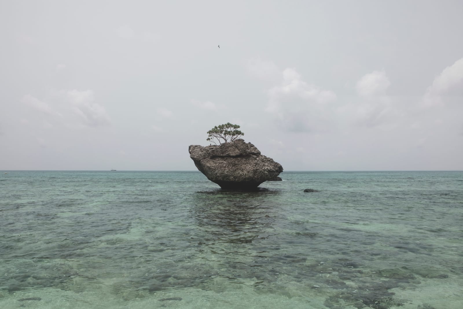 趙仁輝, 退潮時的珊瑚礁,來自《聖誕島,自然而然》系列 Coral Reef Exposed at Low Tide, from the series, Christmas Island, Naturally, 2016