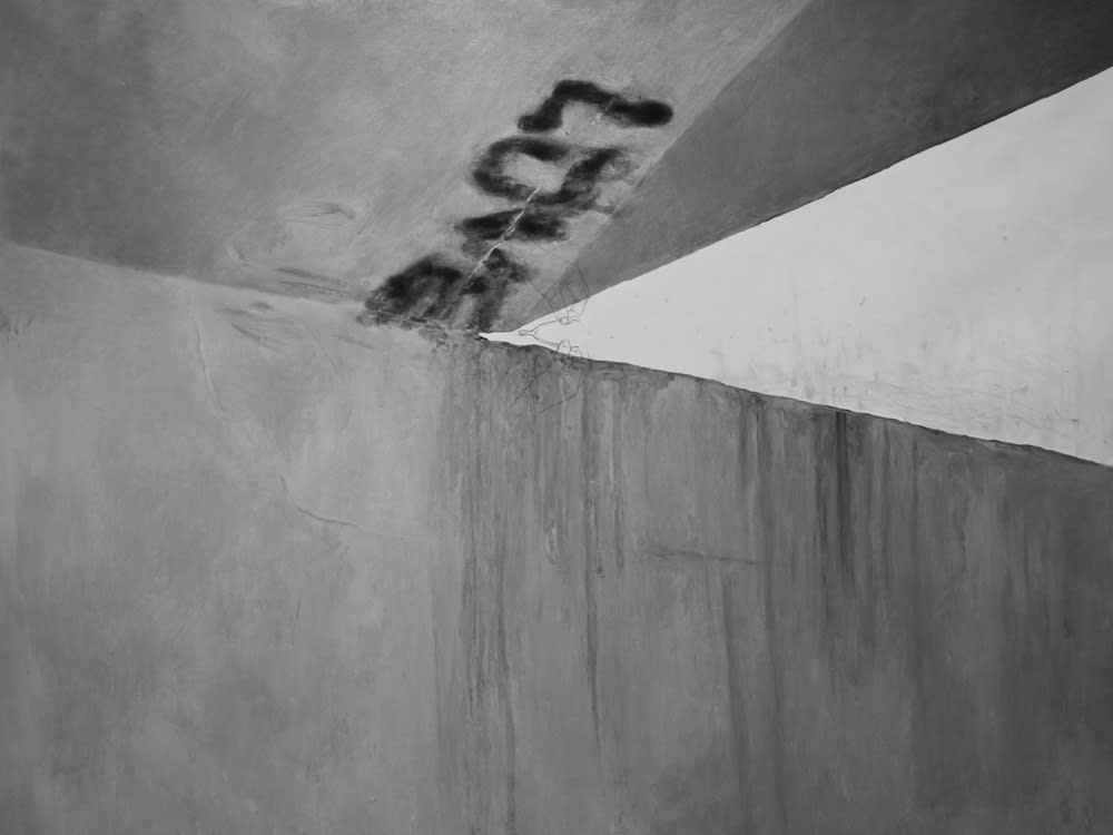 卡塔林．皮特里瑟, 《就算靠近一點還是太遠》 Even a little closer is still too far, 2012