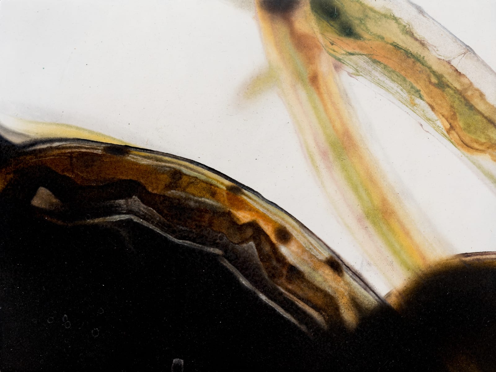 薩伊夫．加里波第, 《可信的微生物 #10》 Porculen Microorganisms #10, 2018