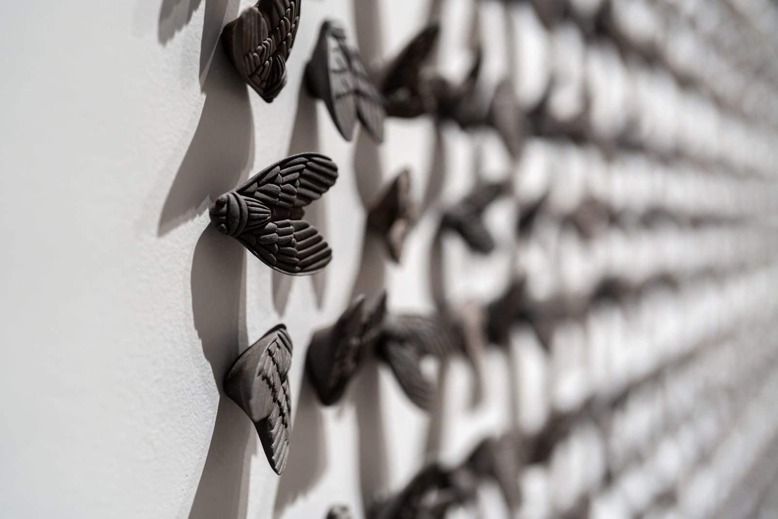 艾伯特・約拿桑・瑟提亞萬, 《重生 I》 Palingenesis I, 2024