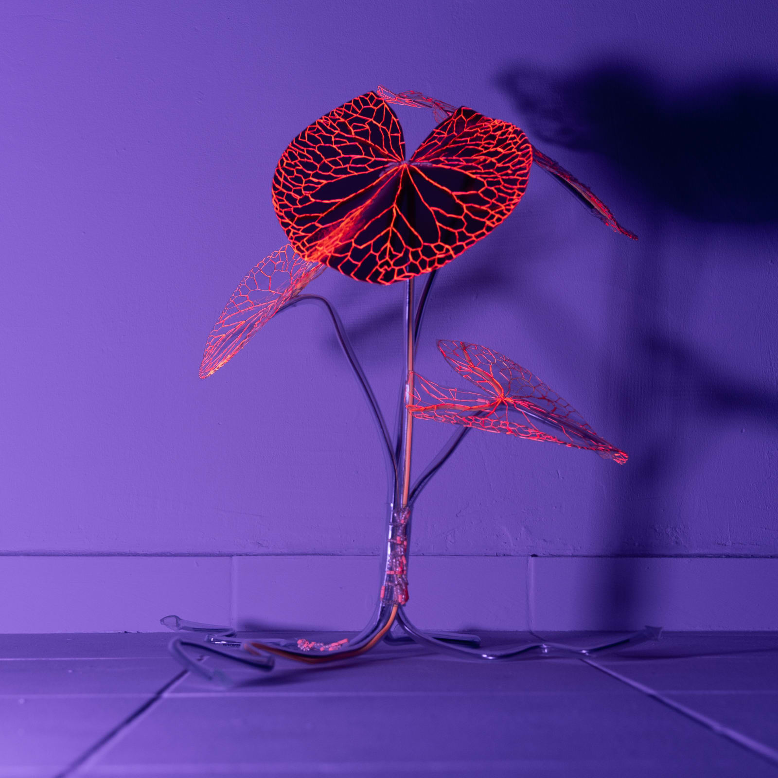 安德利亞・梅達爾, 《末日後的新娘1-17》 Post-apocalyptic bride 1-17, 2023