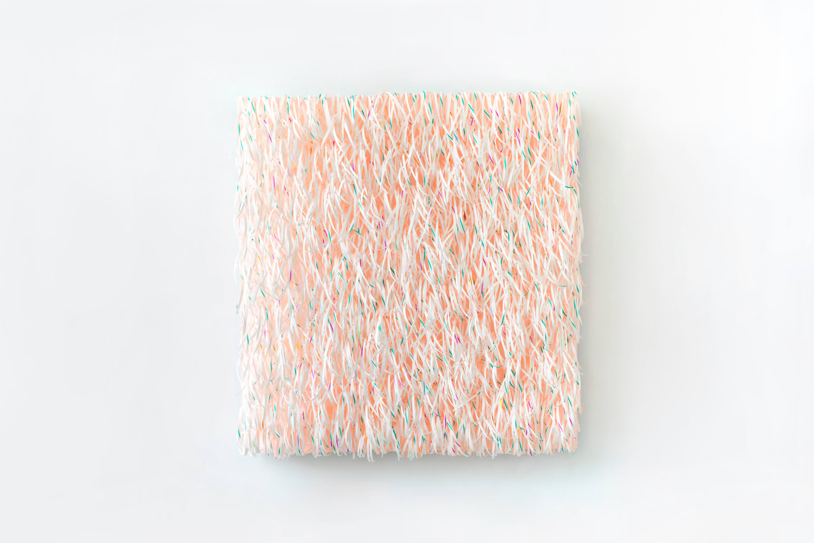 劉文瑄, 《小尾巴》 Green Tails, 2025