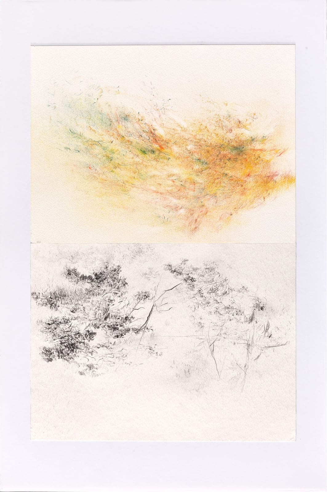 布恩．卡路拜恩, 《抗歸檔 #6》 Antiarchive #6, 2020