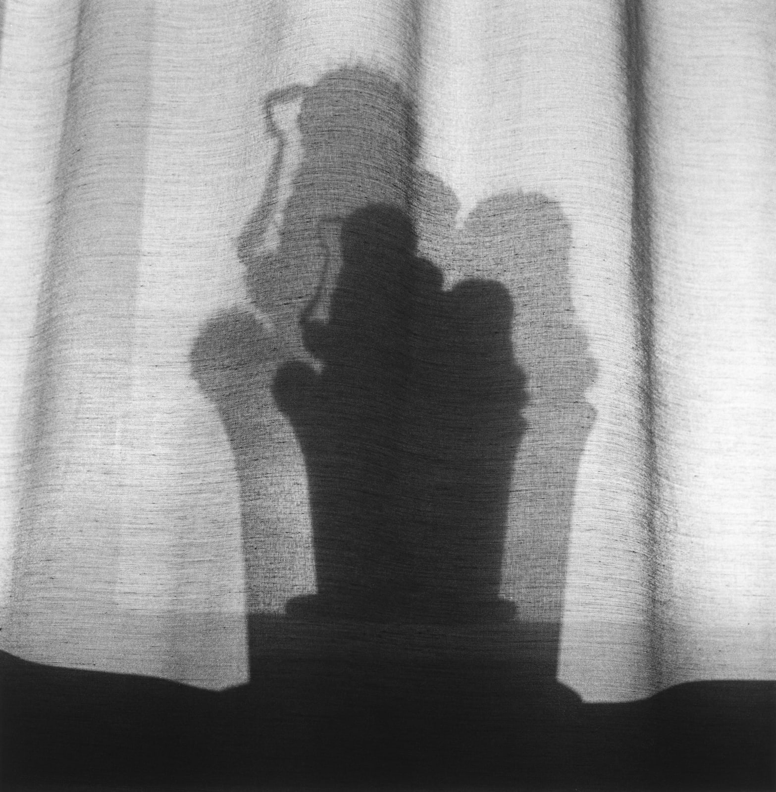 克里斯托弗．戴樂, 《Johanna的仙人掌》 Johanna's Cactus , 2018