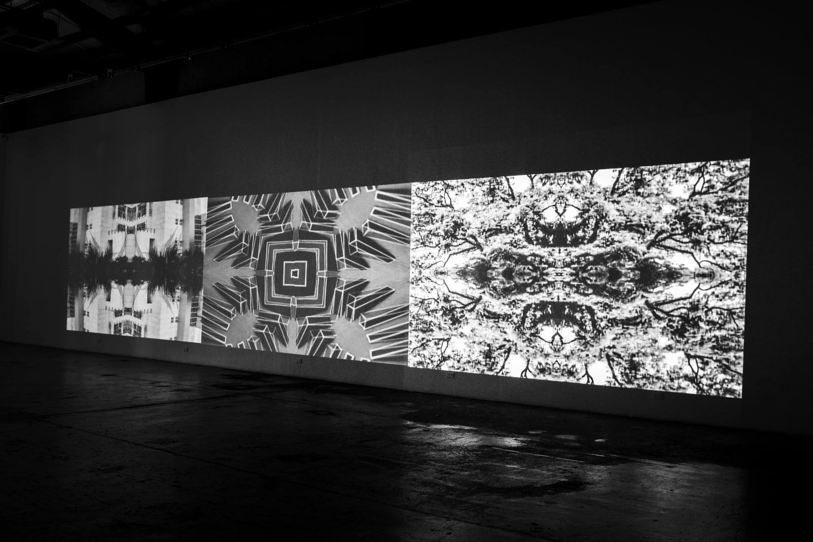 維特．貝拉諾, 《格架》Gridiron 《寶塔》Ziggurat 《樹棲》Arboreal, 2016