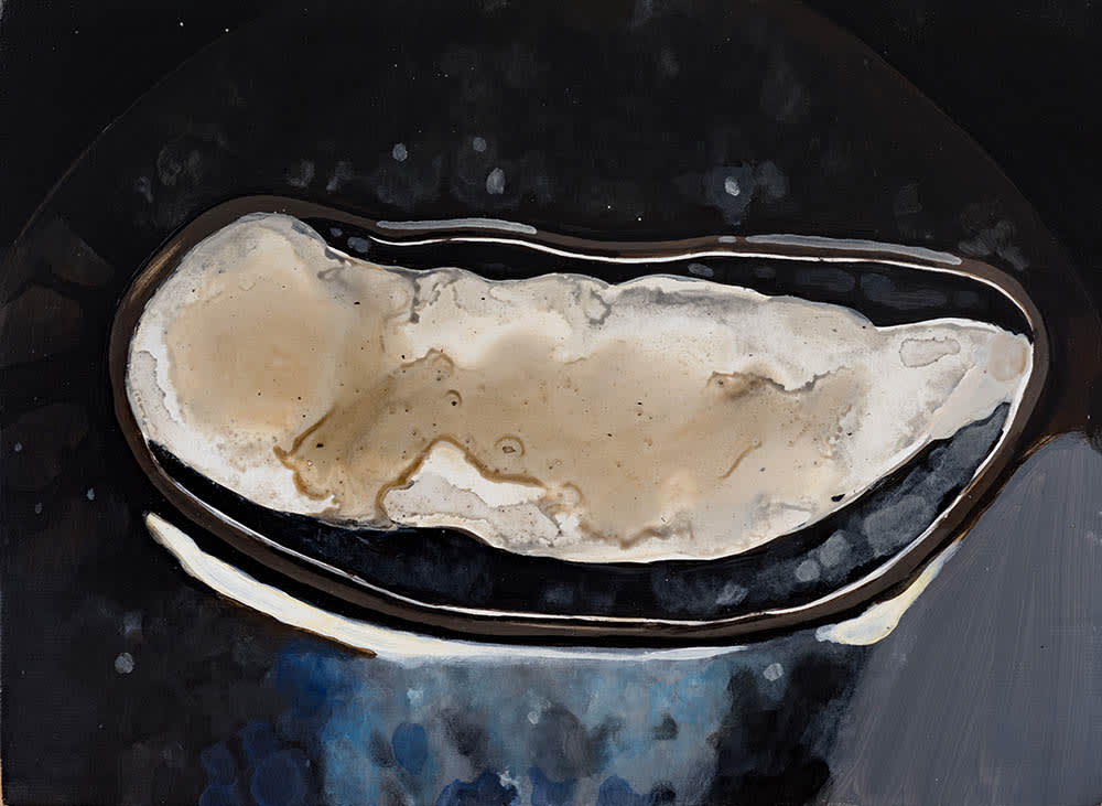 薩伊夫．加里波第, 《可信的微生物 #11》 Porculen Microorganisms #11, 2018