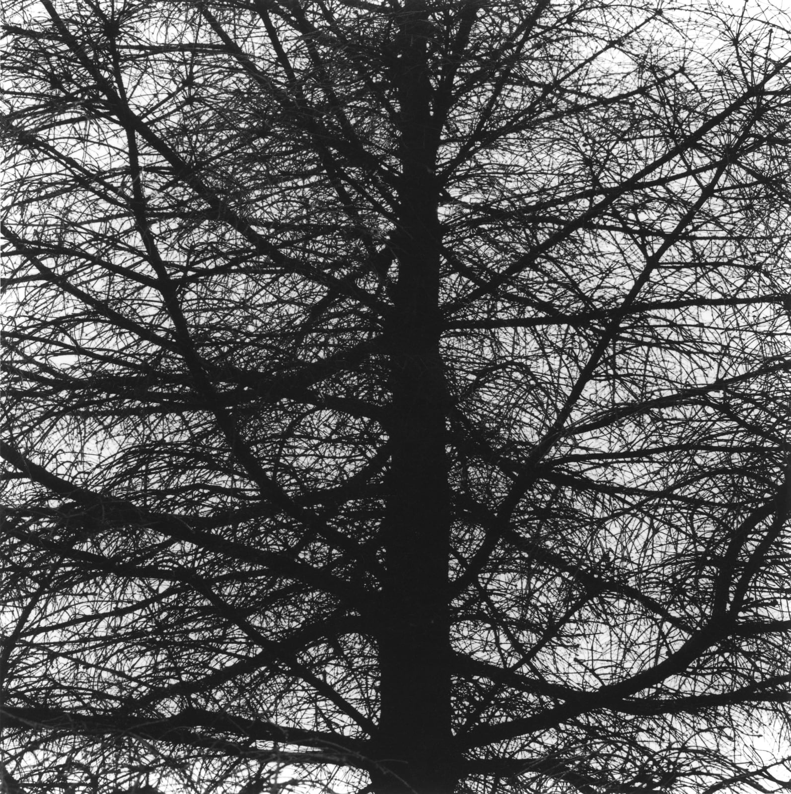 克里斯托弗．戴樂, 《雷克雅維克，冰島》 Reykjavik, Iceland, 2008