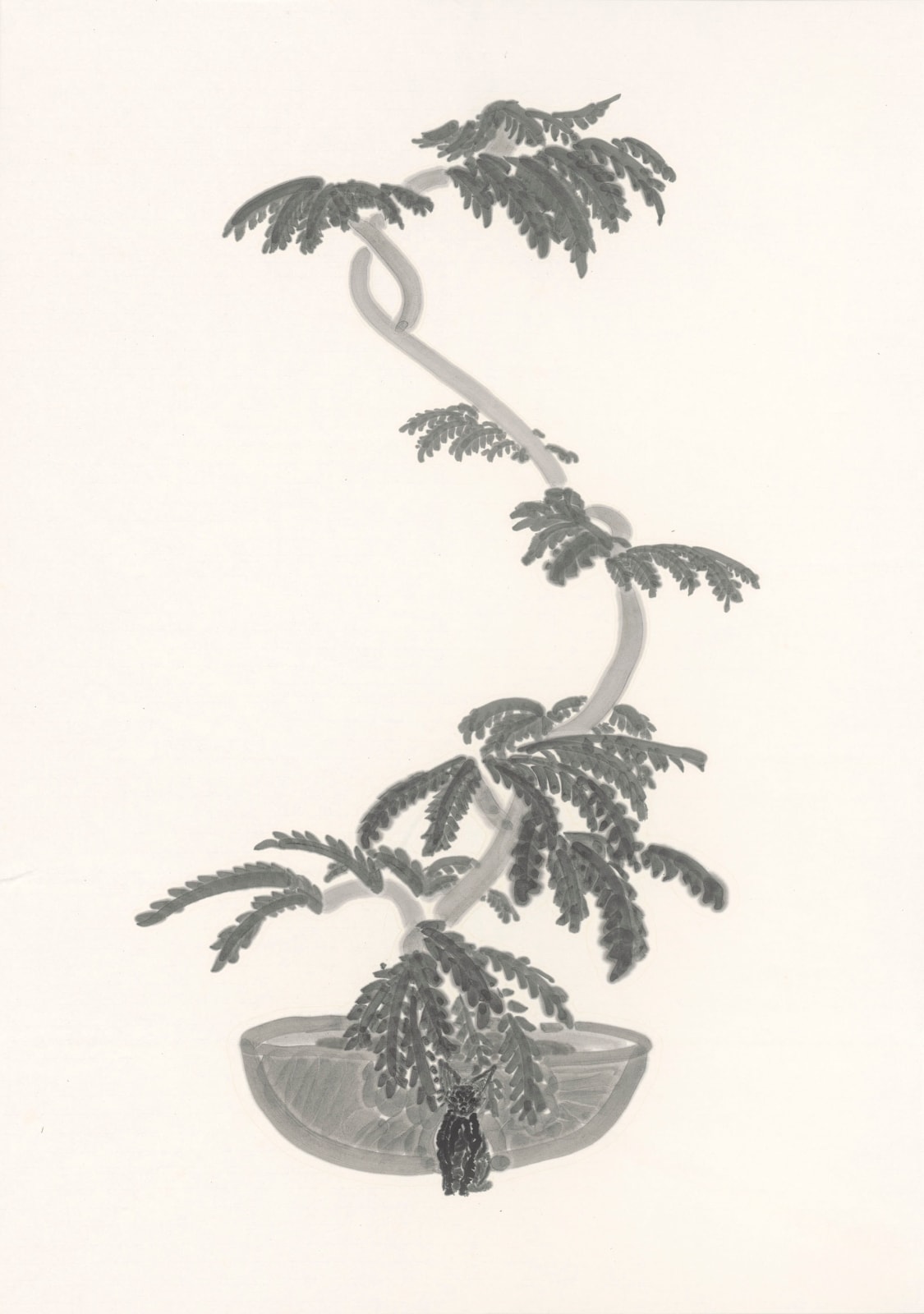 楊寓寧, 《小豆》 Cojoba Arborea and Pea, 2024