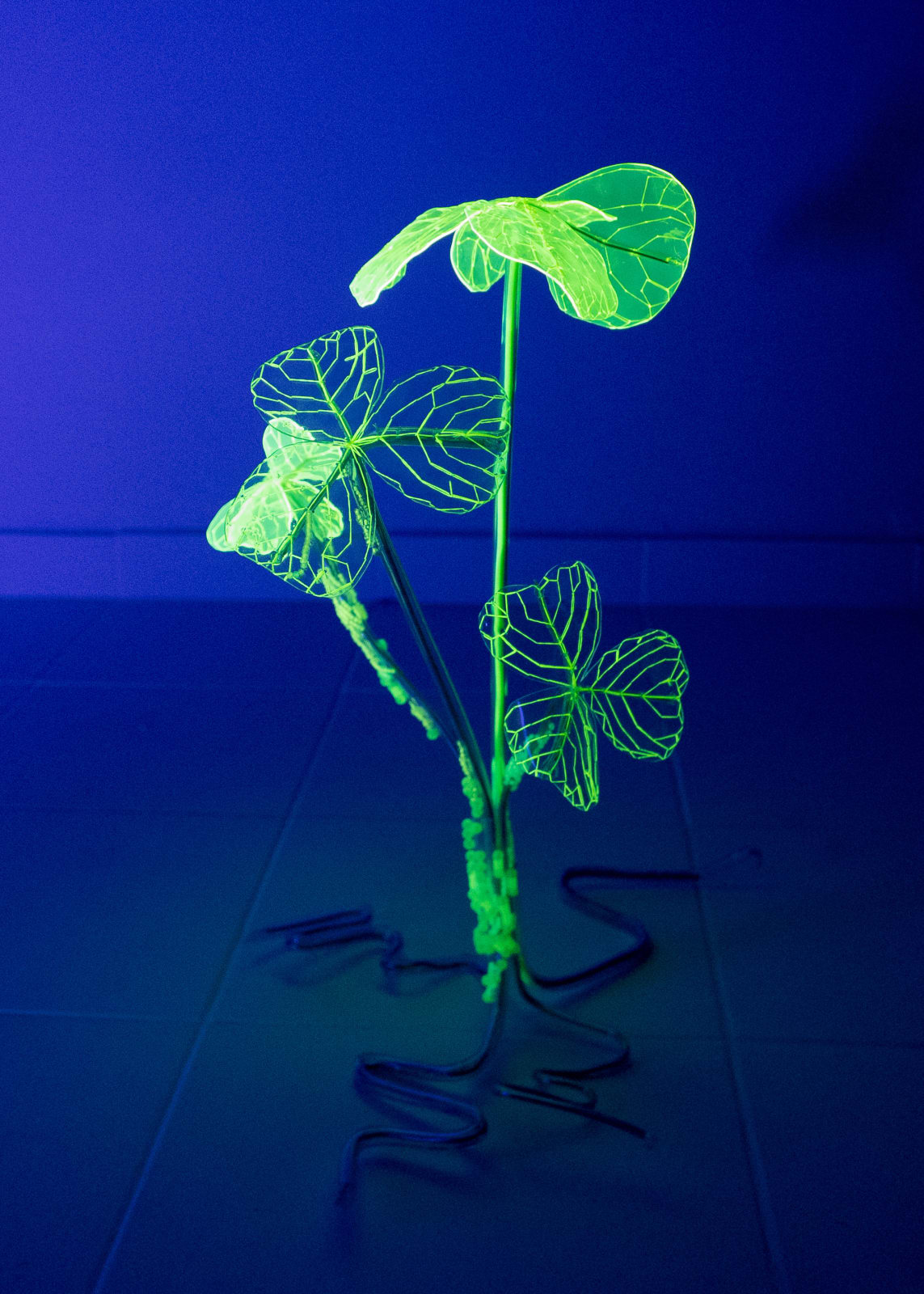 安德利亞・梅達爾, 《末日後的新娘1-17》 Post-apocalyptic bride 1-17, 2023