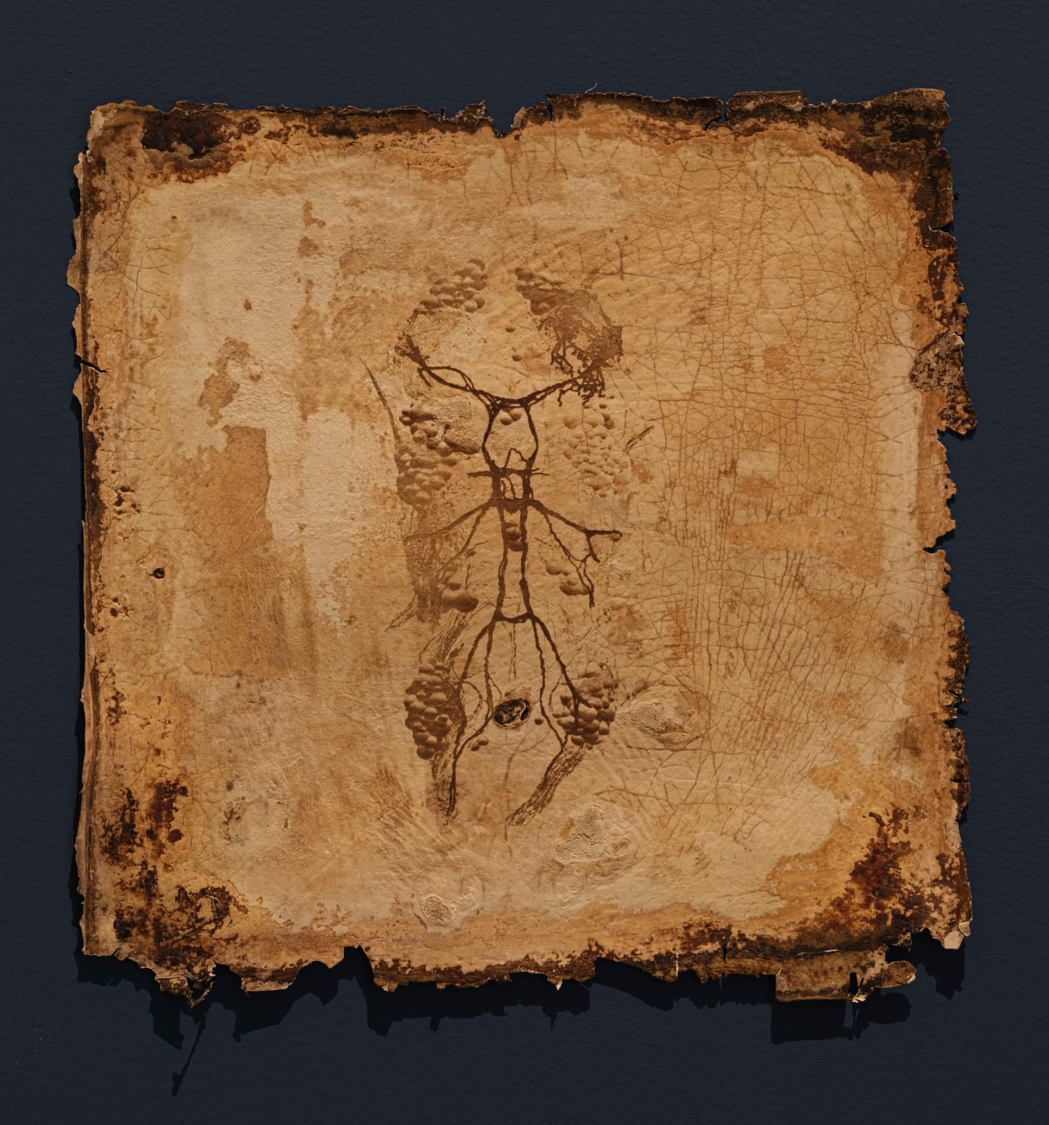 薩伊夫．加里波第, 《印刻 #10》Engrave #10, 2024