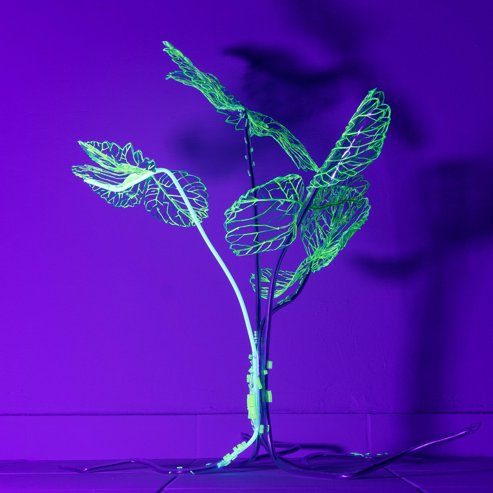 安德利亞・梅達爾, 《末日後的新娘1-17》 Post-apocalyptic bride 1-17, 2023