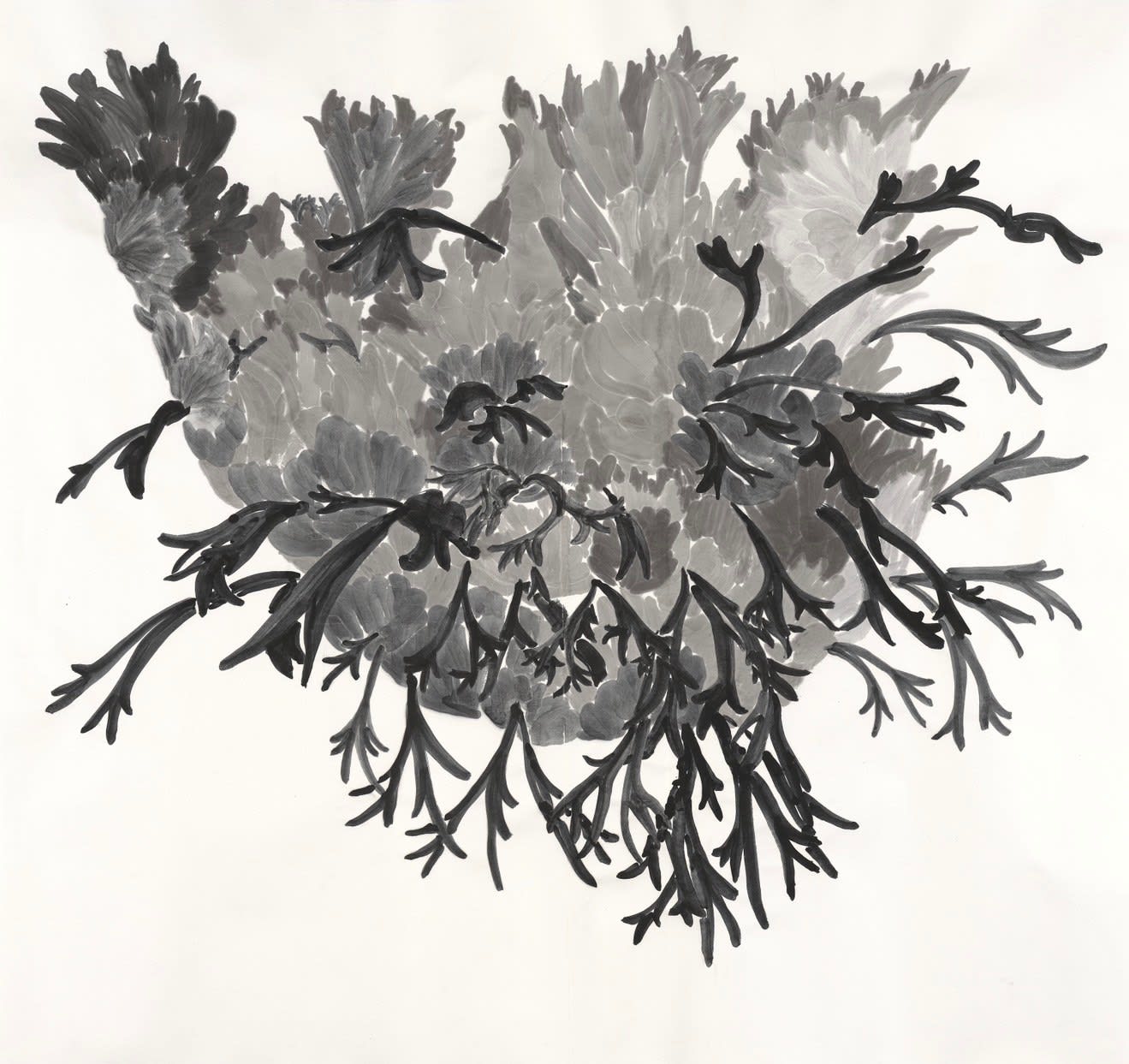 楊寓寧, 《心形的蕨類》Heart-Shaped Ferns, 2023