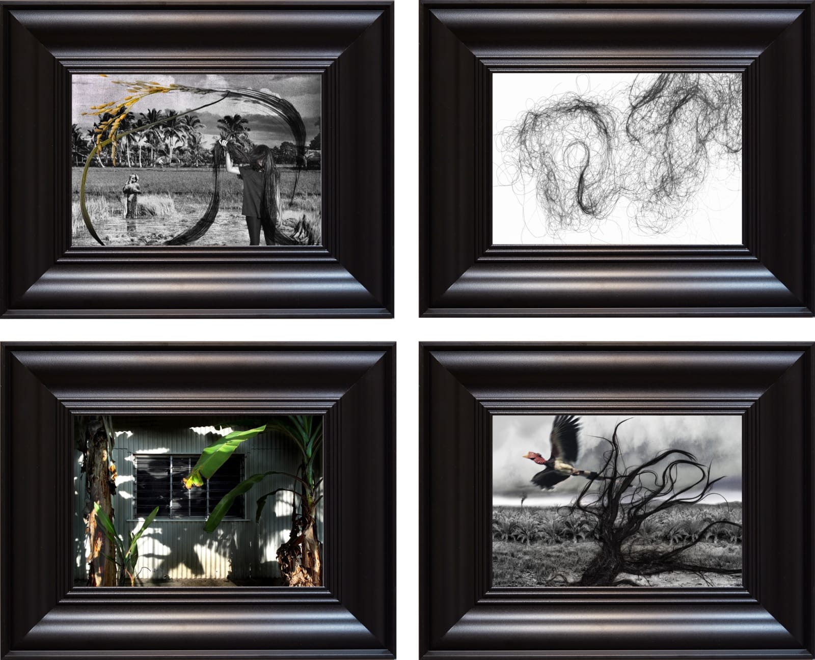 于一蘭, 《幽靈筆記：祖母的稻米》 An Essay of Hauntings: Grandmother’s Rice, 2016