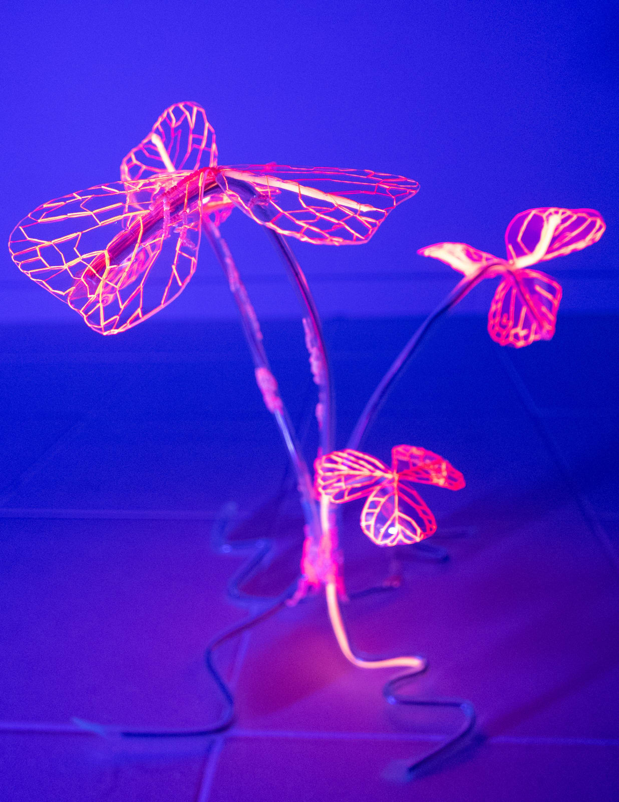 安德利亞・梅達爾, 《末日後的新娘1-17》 Post-apocalyptic bride 1-17, 2023