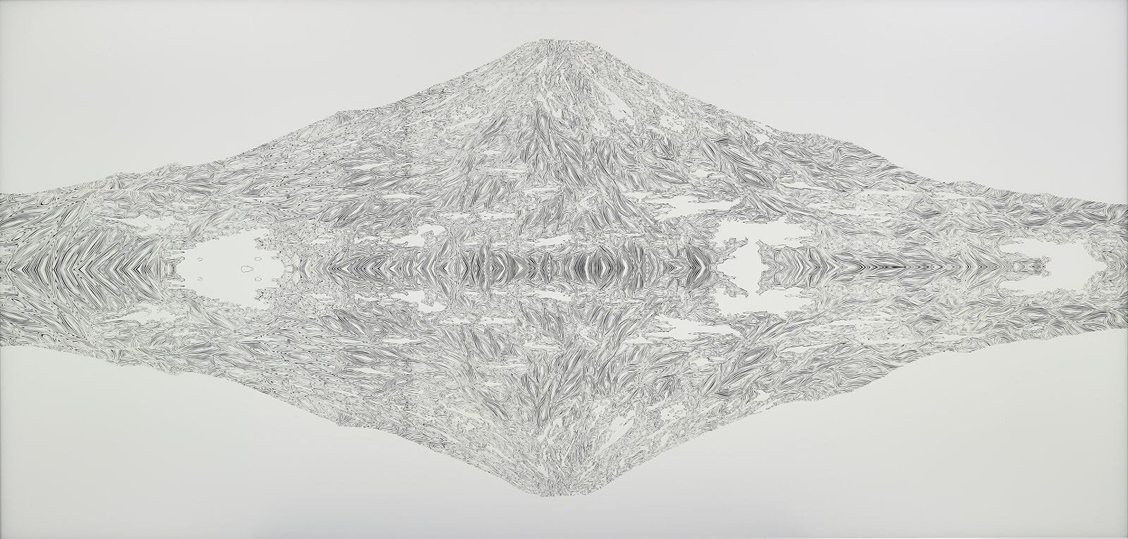 大卷伸嗣, 漂浮— 景 Flotage-scape, 2015