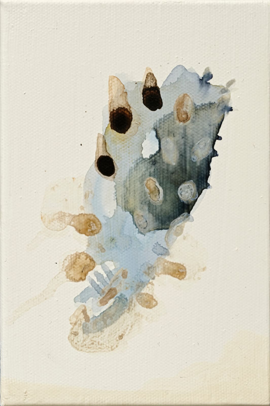 薩伊夫．加里波第, 《之間 #23》 In Between #23, 2024